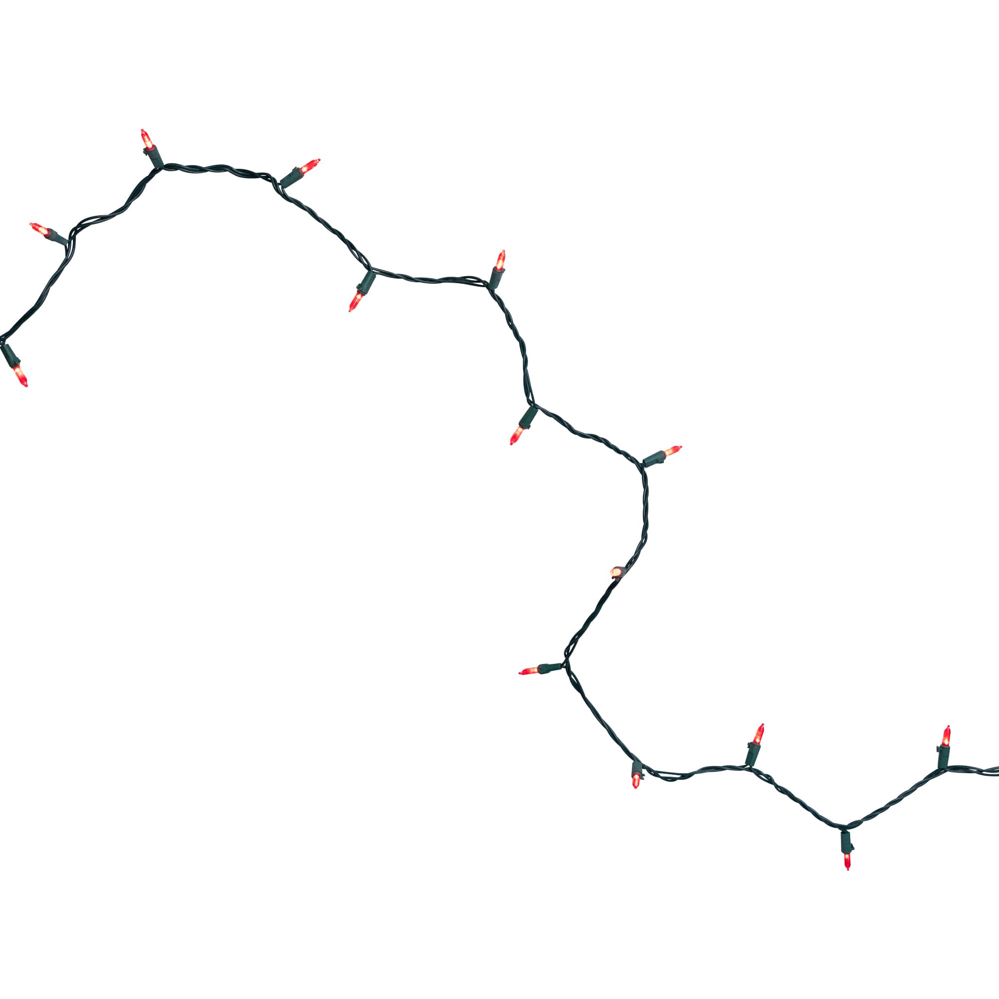 100ct. LED Mini Christmas Lights With Green Wire