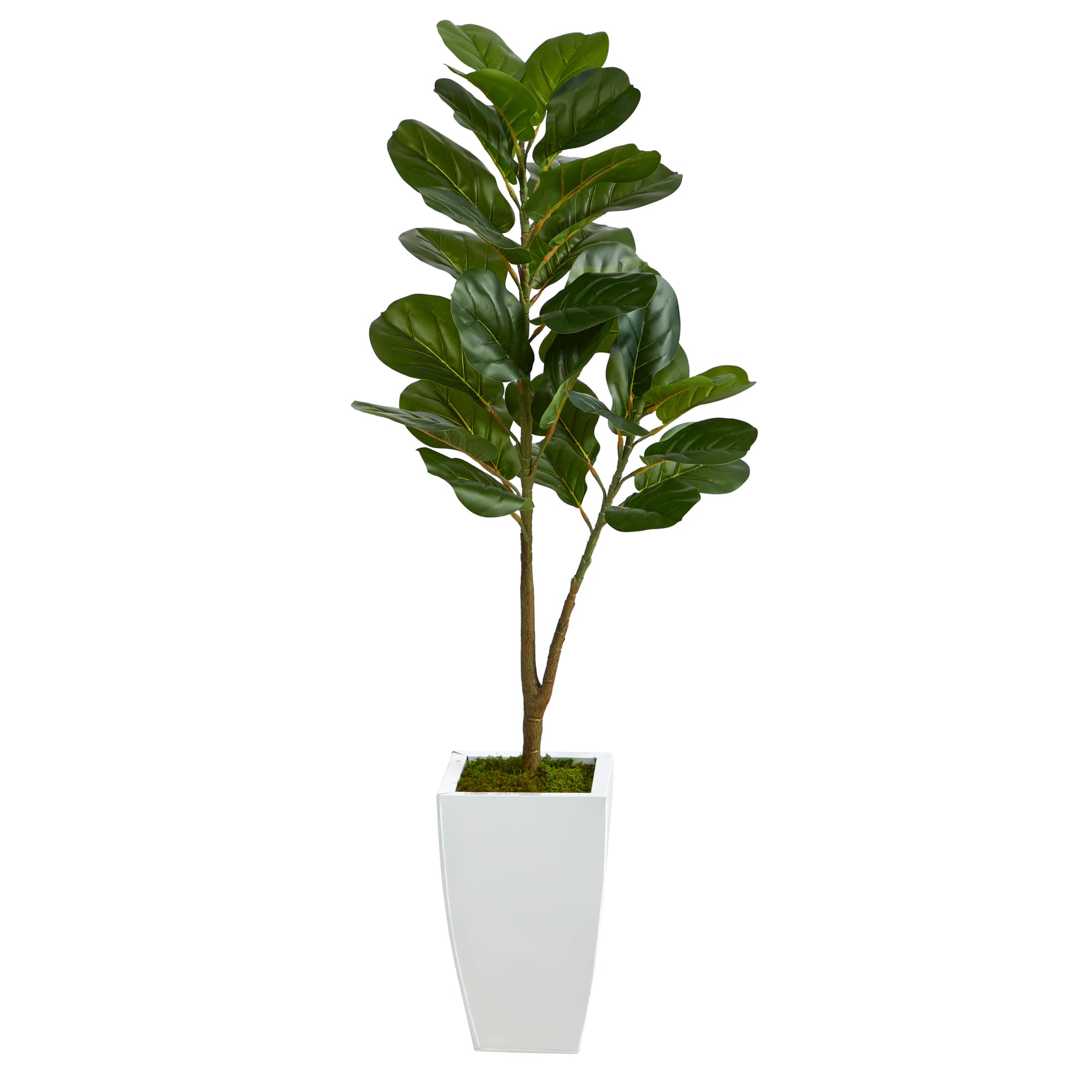 4ft. Fiddle Leaf Fig Tree in White Metal Planter Michaels