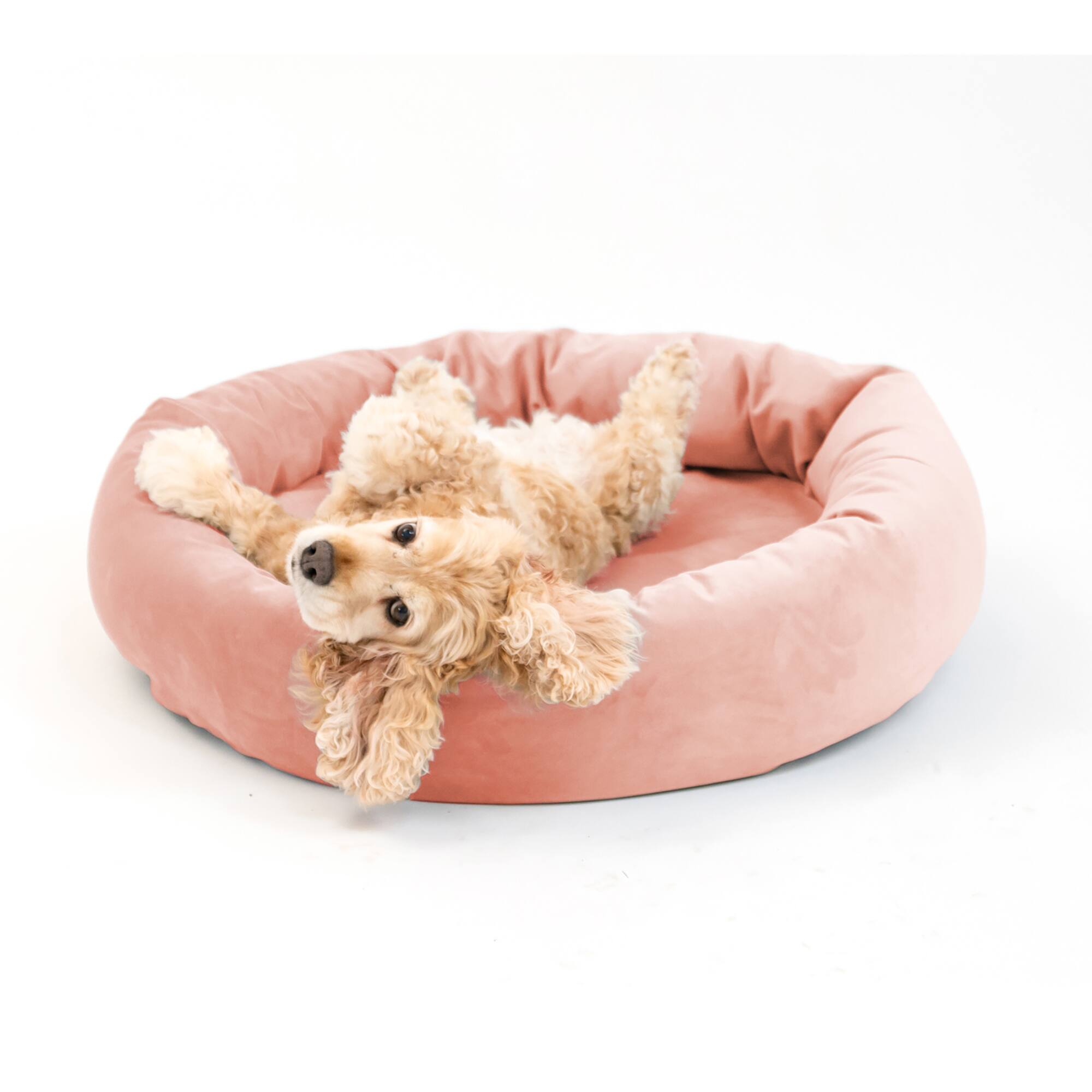 Royal Pet Bed Medium Washable Luxury Velvet Dog Bed