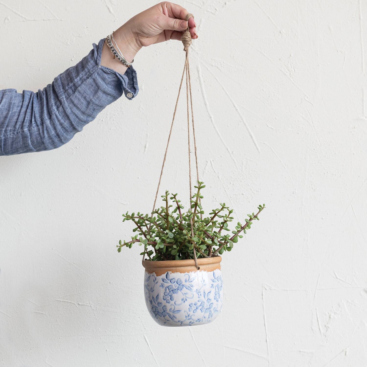 Hello Honey&#xAE; 6&#x22; Multicolor Terracotta Hanging Planter with Jute Rope