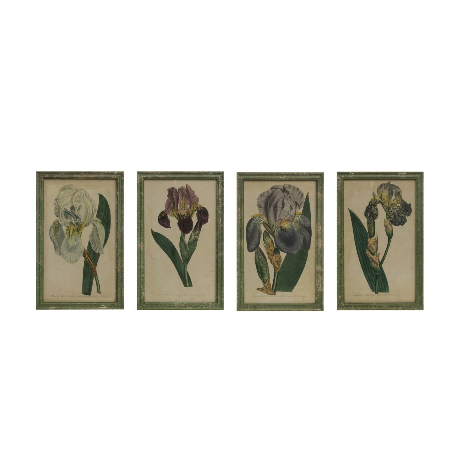Hello Honey® 21" Vintage Reproduction Distressed Green Frame Iris Flower Wall Décor, 4ct.