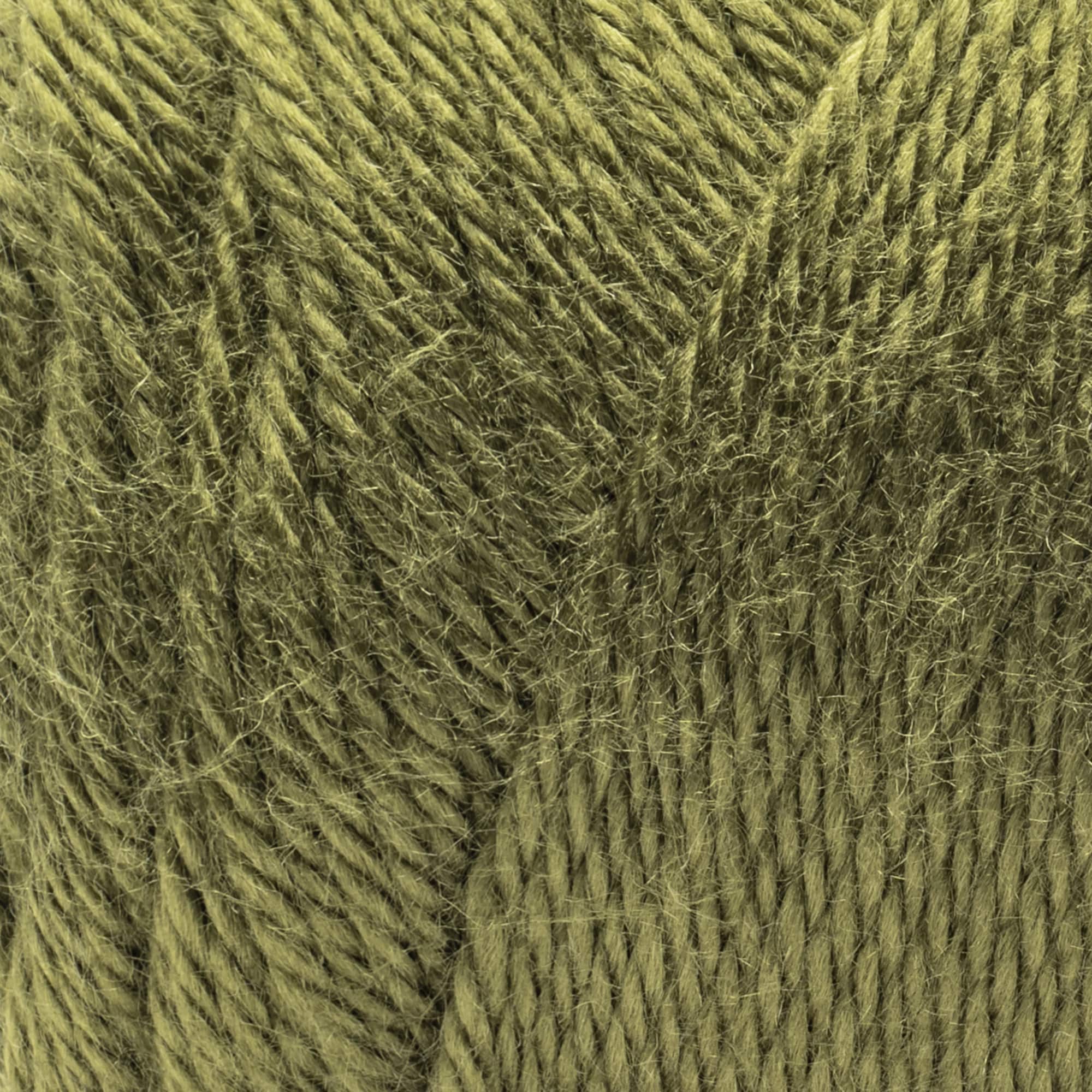 Caron&#xAE; Simply Soft&#xAE; Solid Yarn