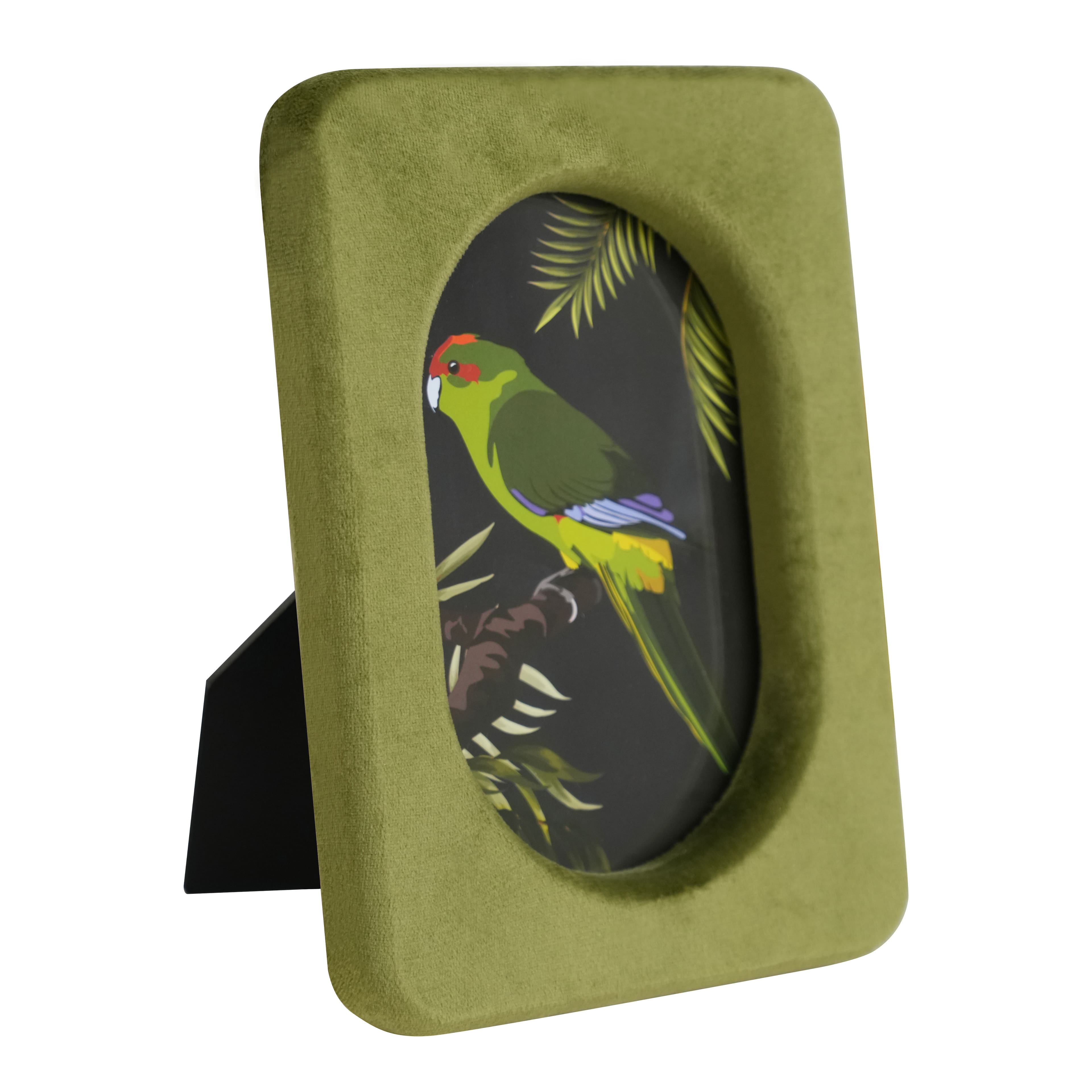 Safari 4&#x22; x 6&#x22; Velvet Frame with Round Opening by Ashland&#xAE;