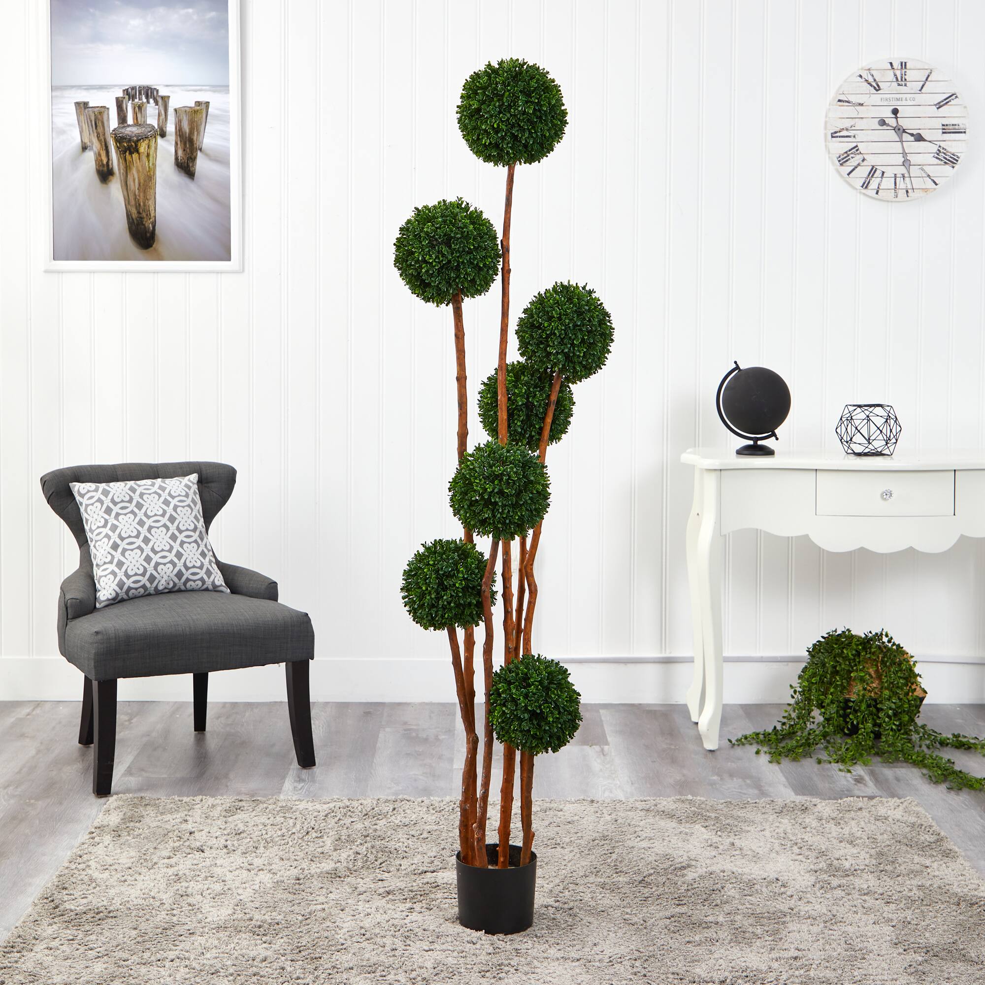 6ft. Potted Boxwood Multi-Ball Topiary Tree