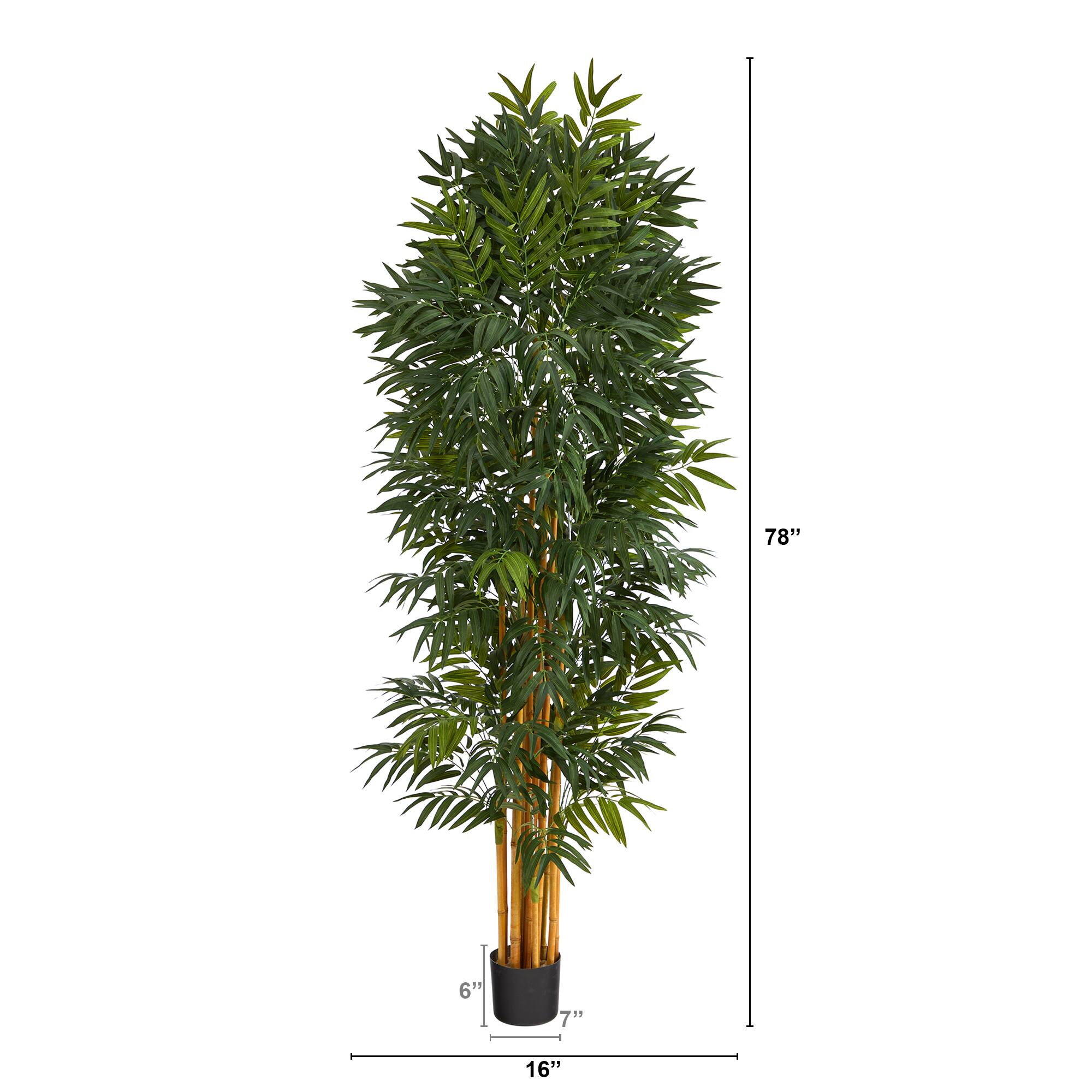6.5ft. Phoenix Palm Tree with Natural Trunk
