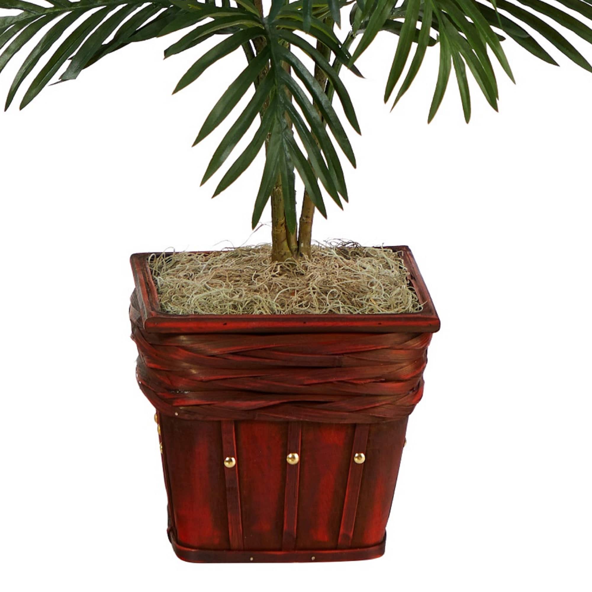3.16ft. Areca Palm with Wicker Basket Planter