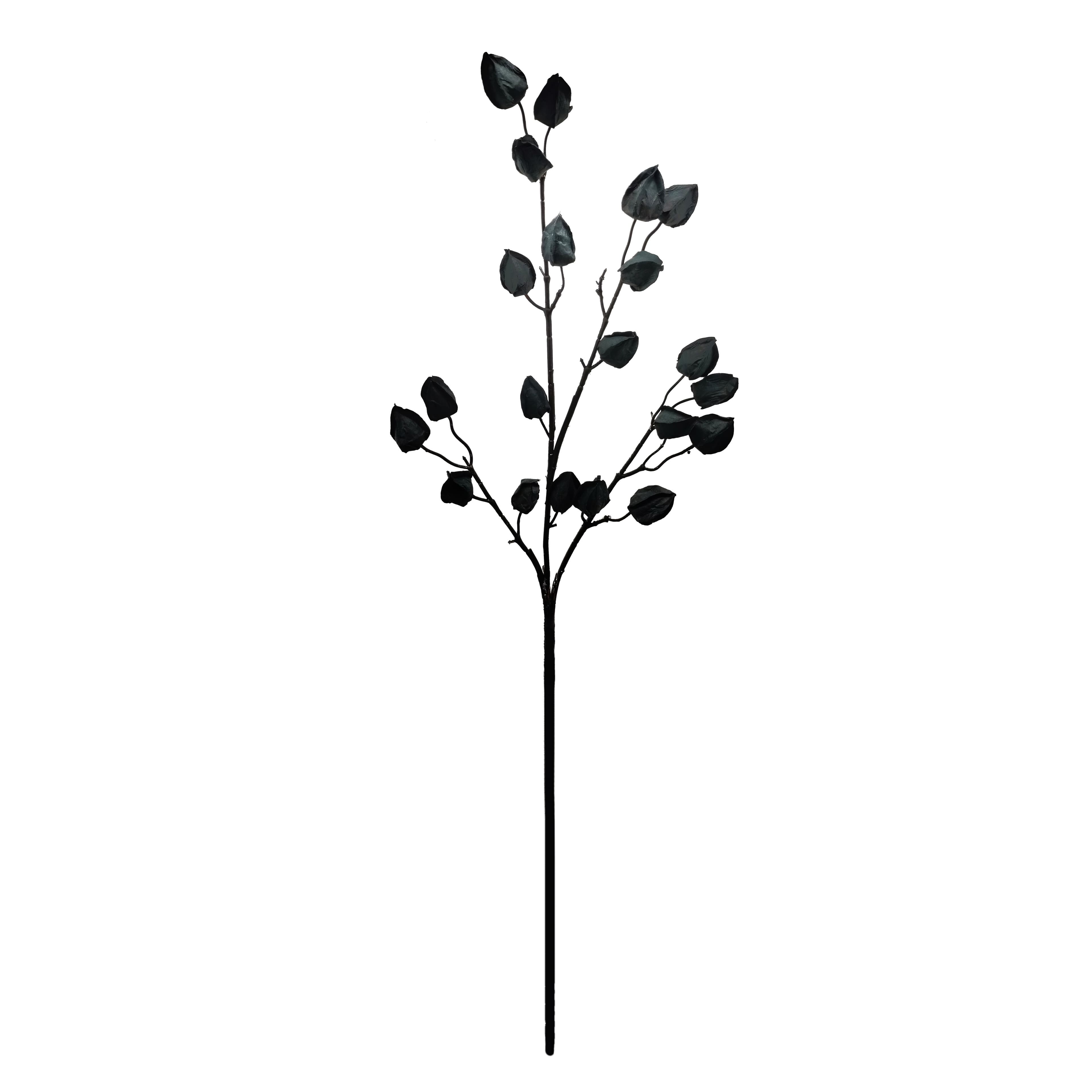 35&#x22; Black Lantern Berry Stem by Ashland&#xAE;