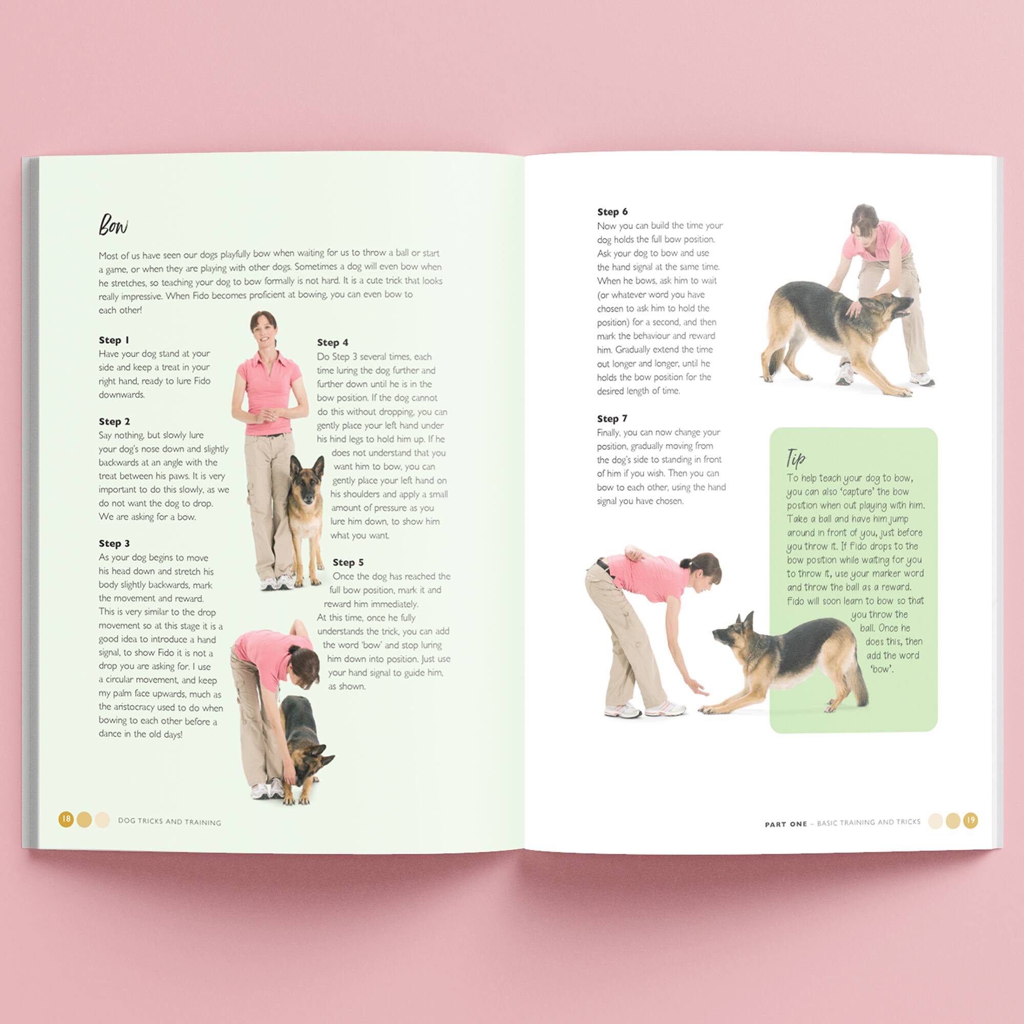 Hinkler Dog Pet Care Tricks & Training Box Set