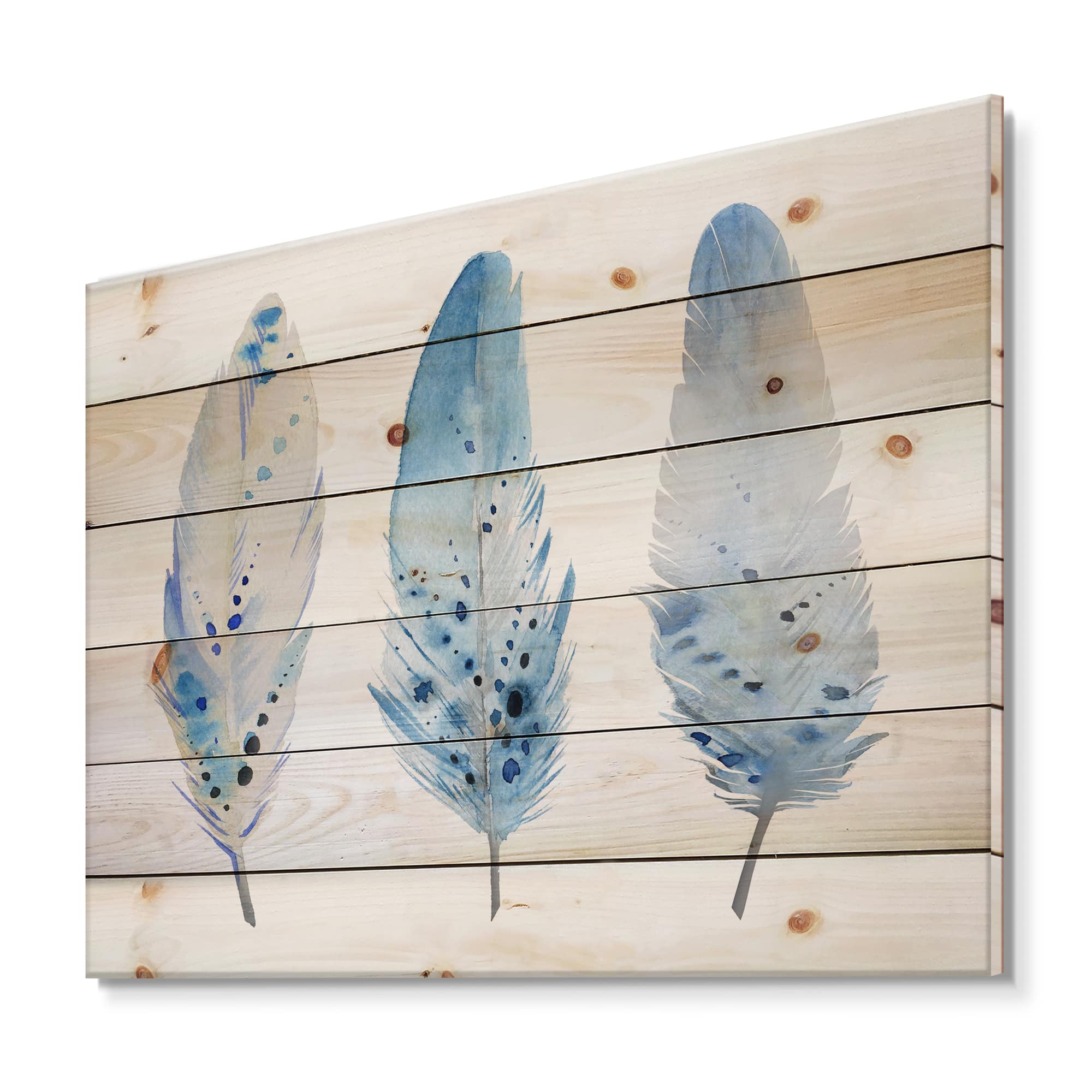 Blue Feathers On Wood Wall Art
