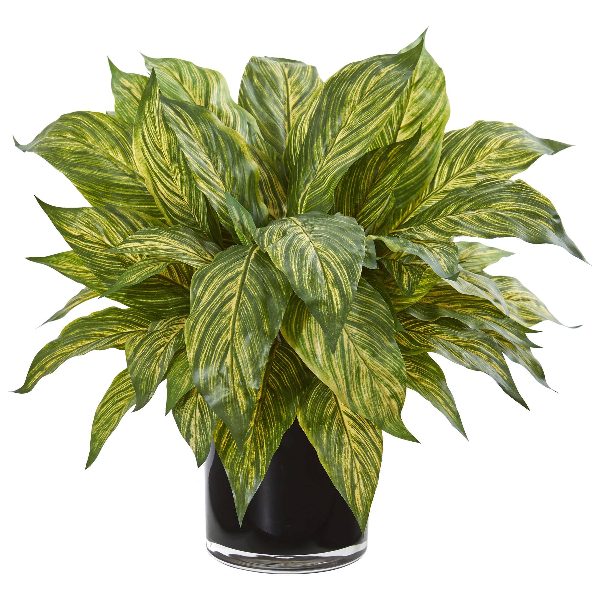 17" Musa Leaf Artificial Plant in Glossy Black Vase