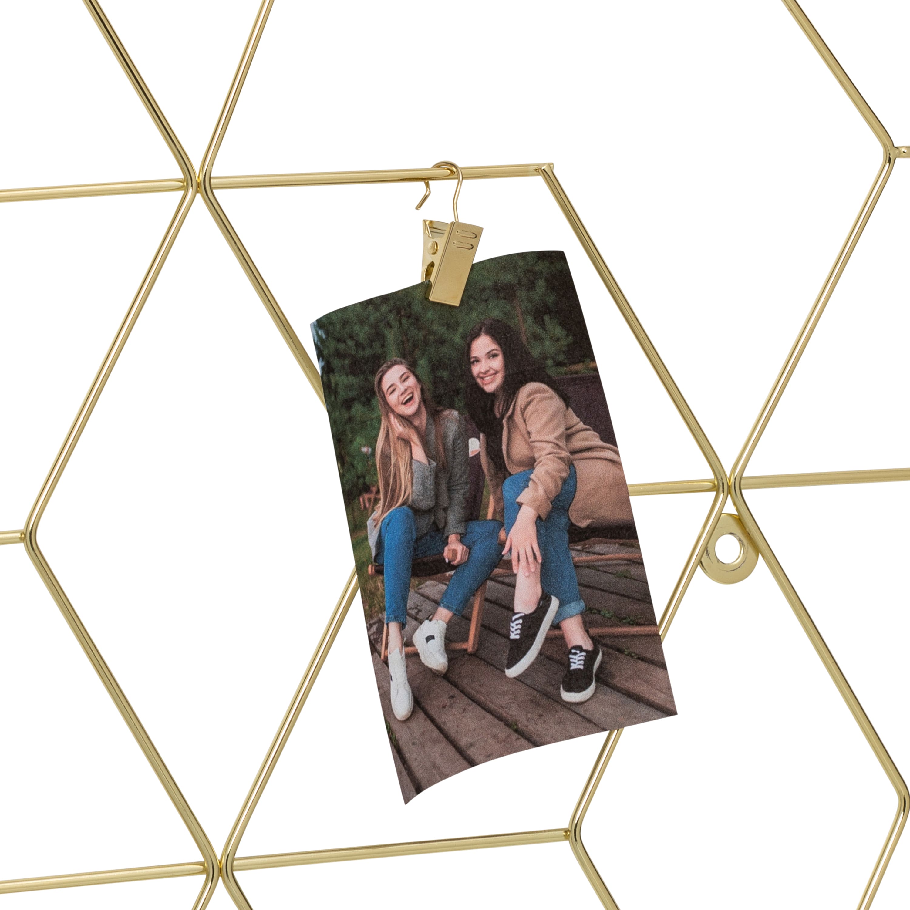 Honey Can Do Gold Hanging Photo Display Holder with Clips