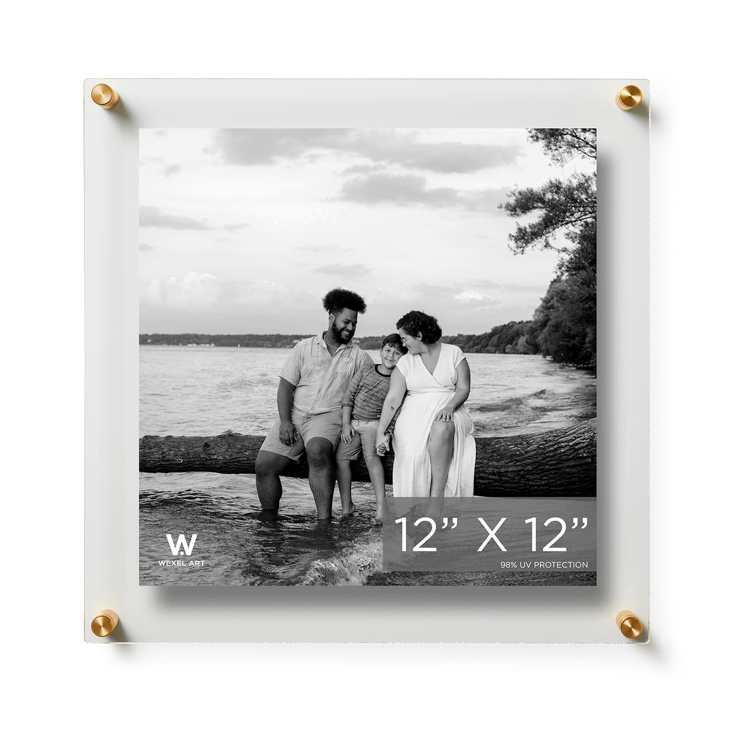 Wexel Art Double Panel Clear Acrylic Floating Wall Frame with Gold Hardware