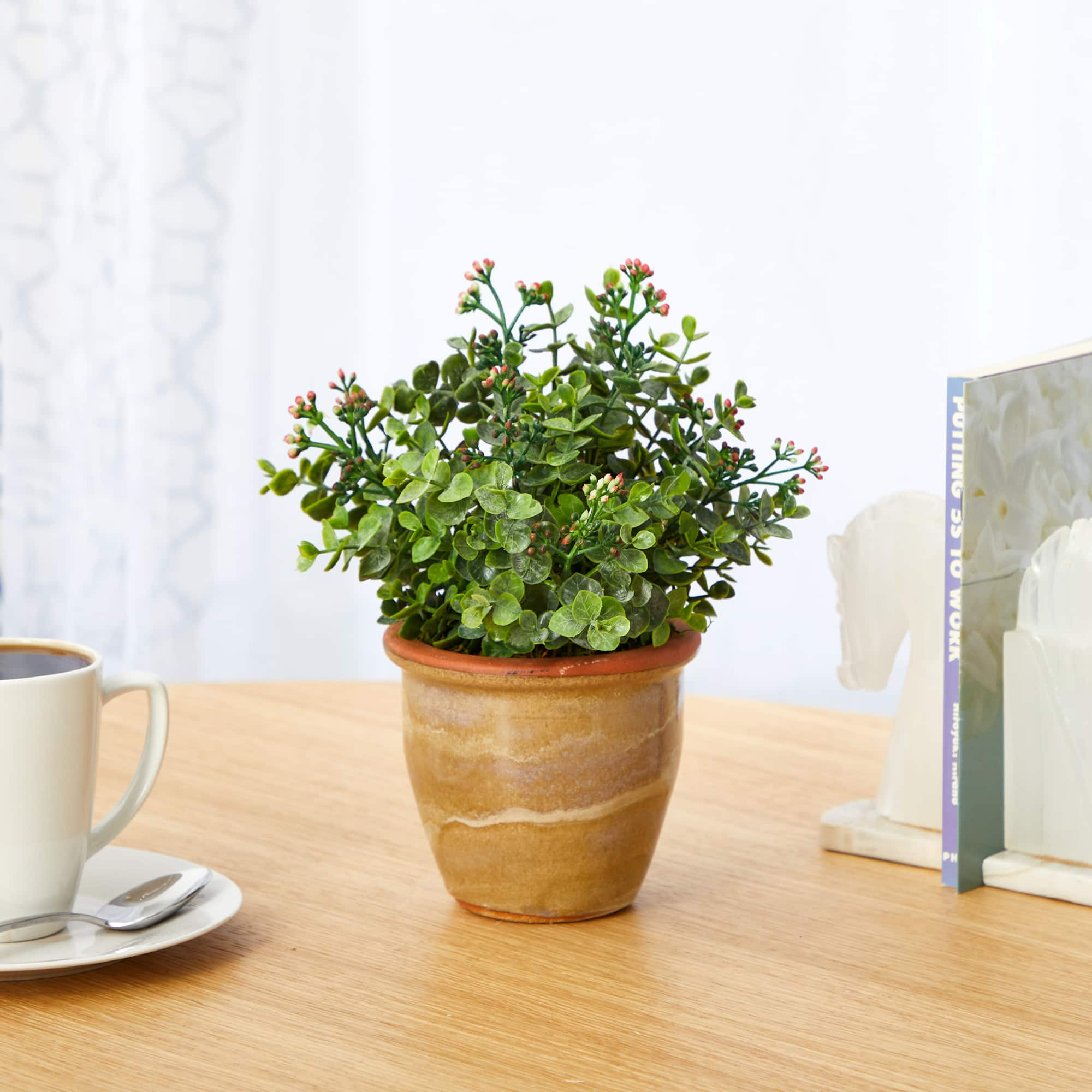 10&#x22; Eucalyptus &#x26; Sedum Succulent Plant in Ceramic Planter