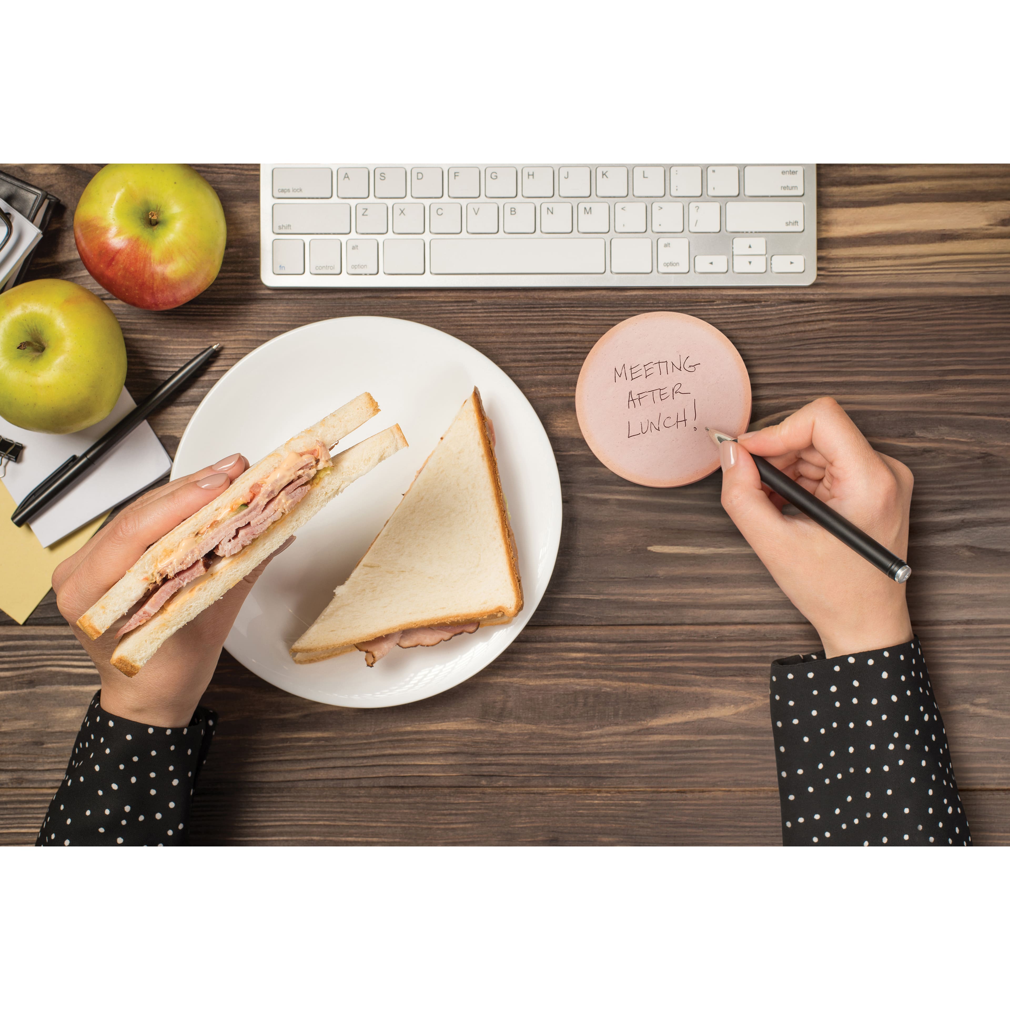 Fred&#xAE; Phony Bologna Sticky Notes