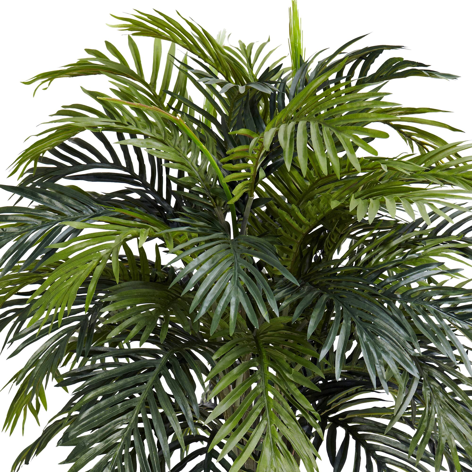 3.16ft. Areca Plant with Decorative Red Planter
