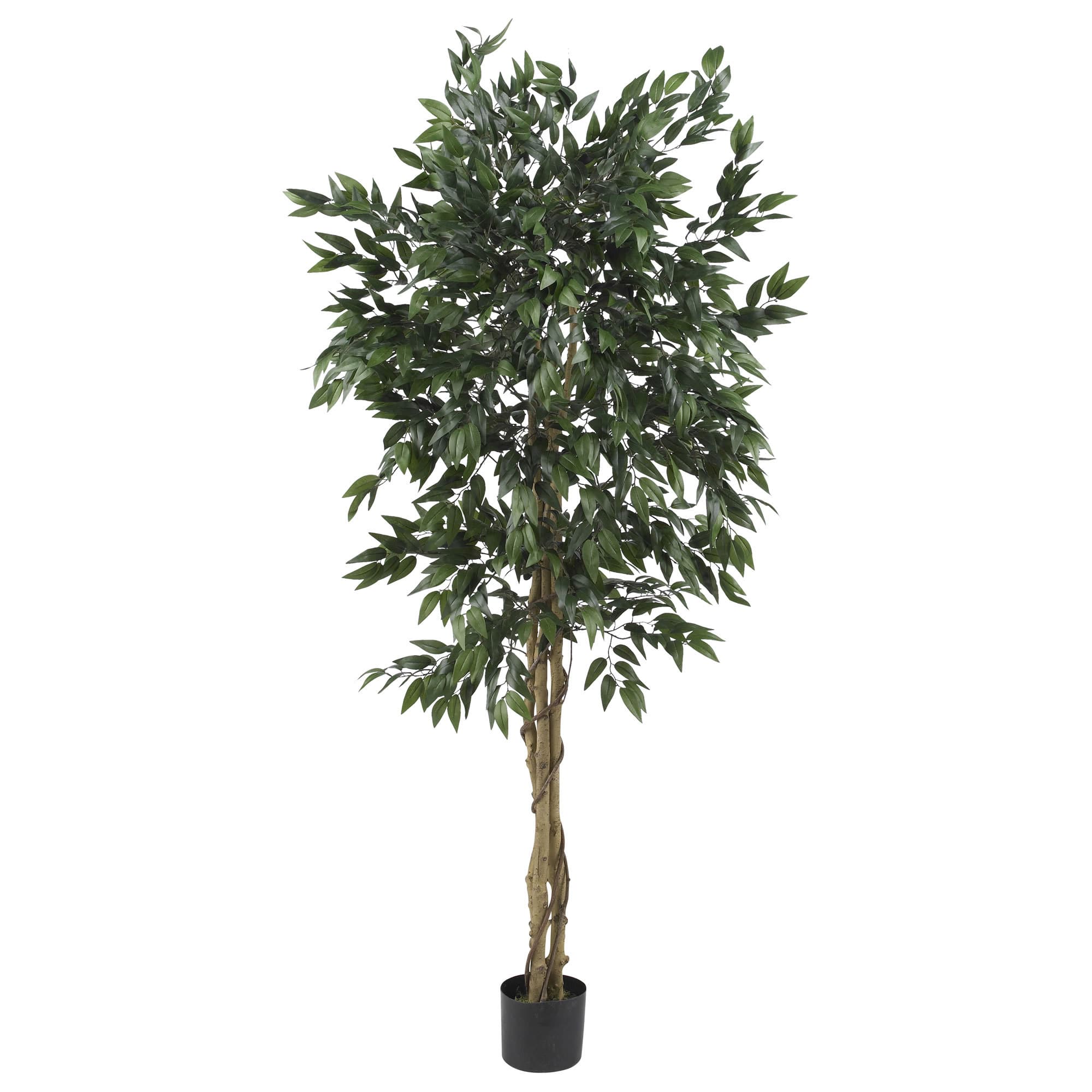 5ft. Potted Smilax Tree