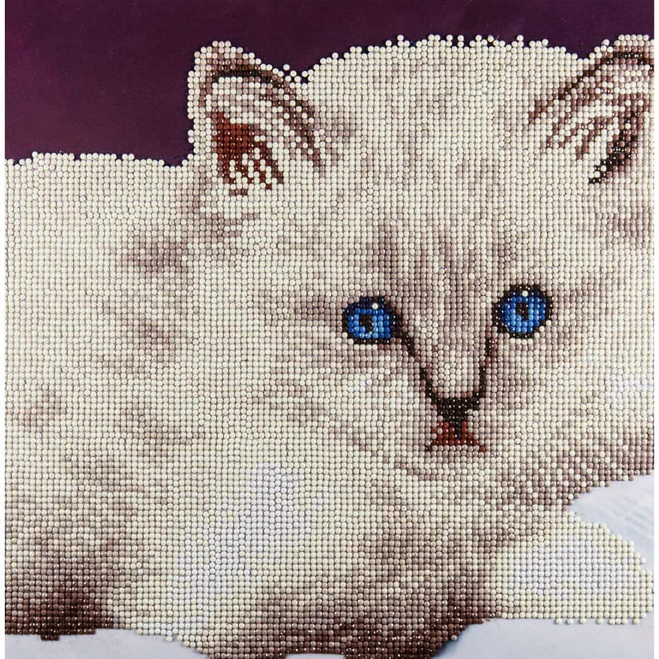 Diamond Art Intermediate White Cat Kit