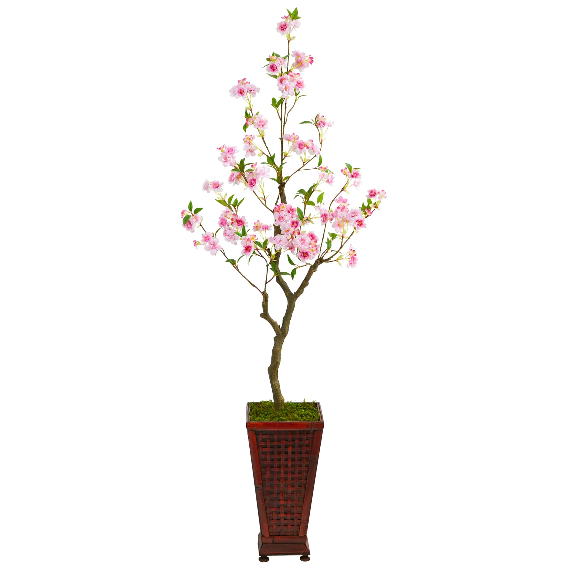 5ft. Cherry Blossom Tree in Decorative Planter | Michaels