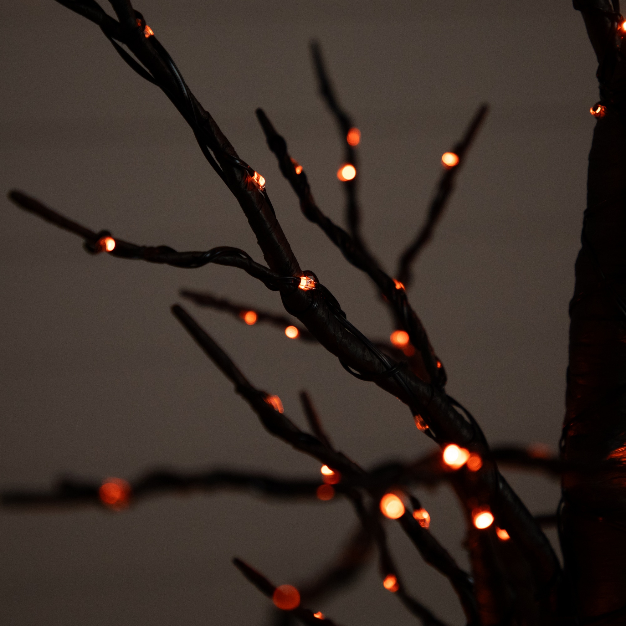 4ft. Pre-Lit LED Black Twig Artificial Halloween Tree