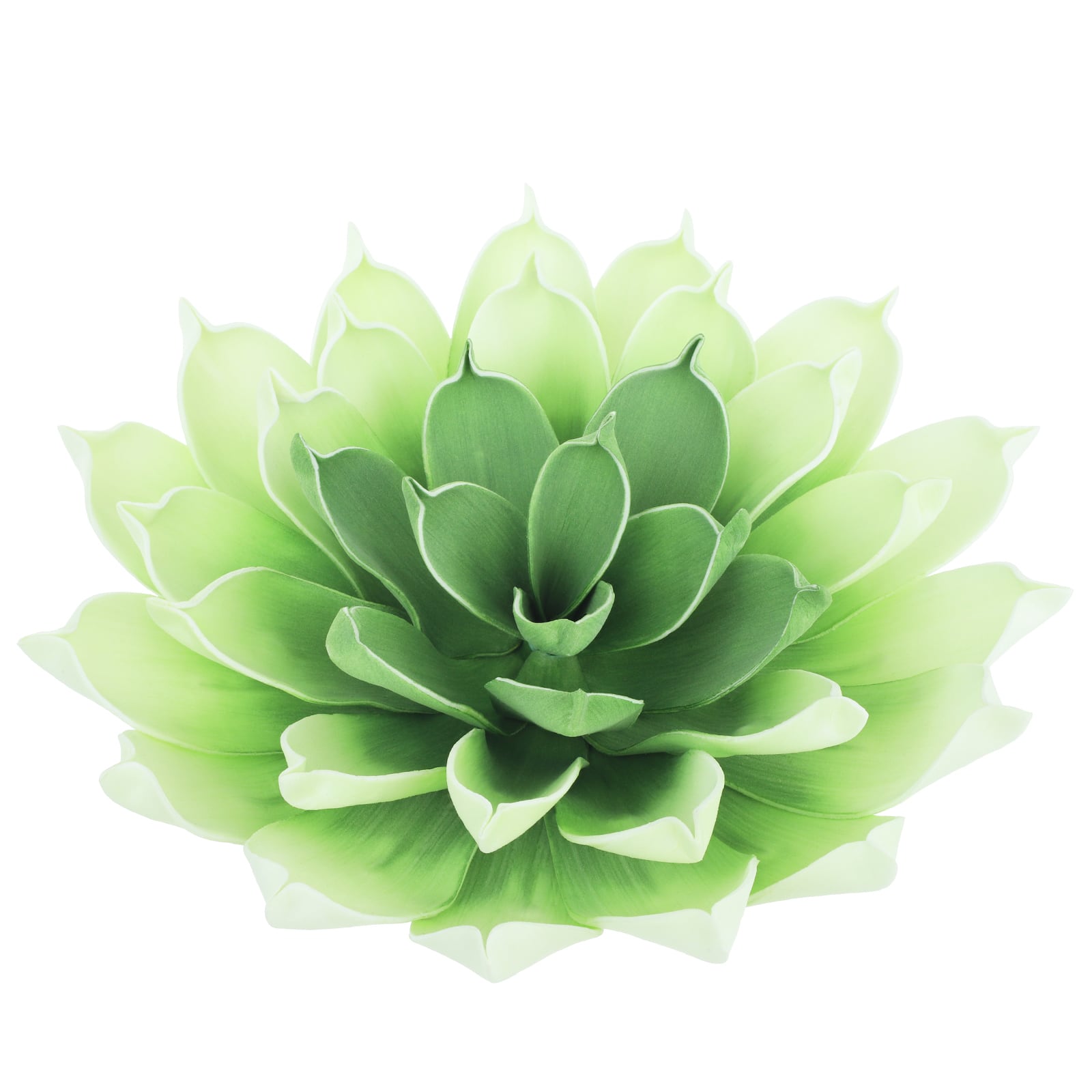 Green &#x26; Cream Decorative Succulent by Ashland&#xAE;