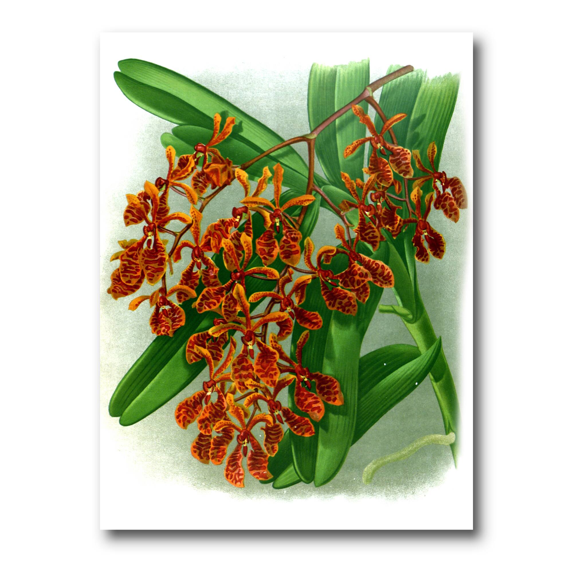 Designart - Retro Flowers II - Farmhouse Canvas Wall Art Print