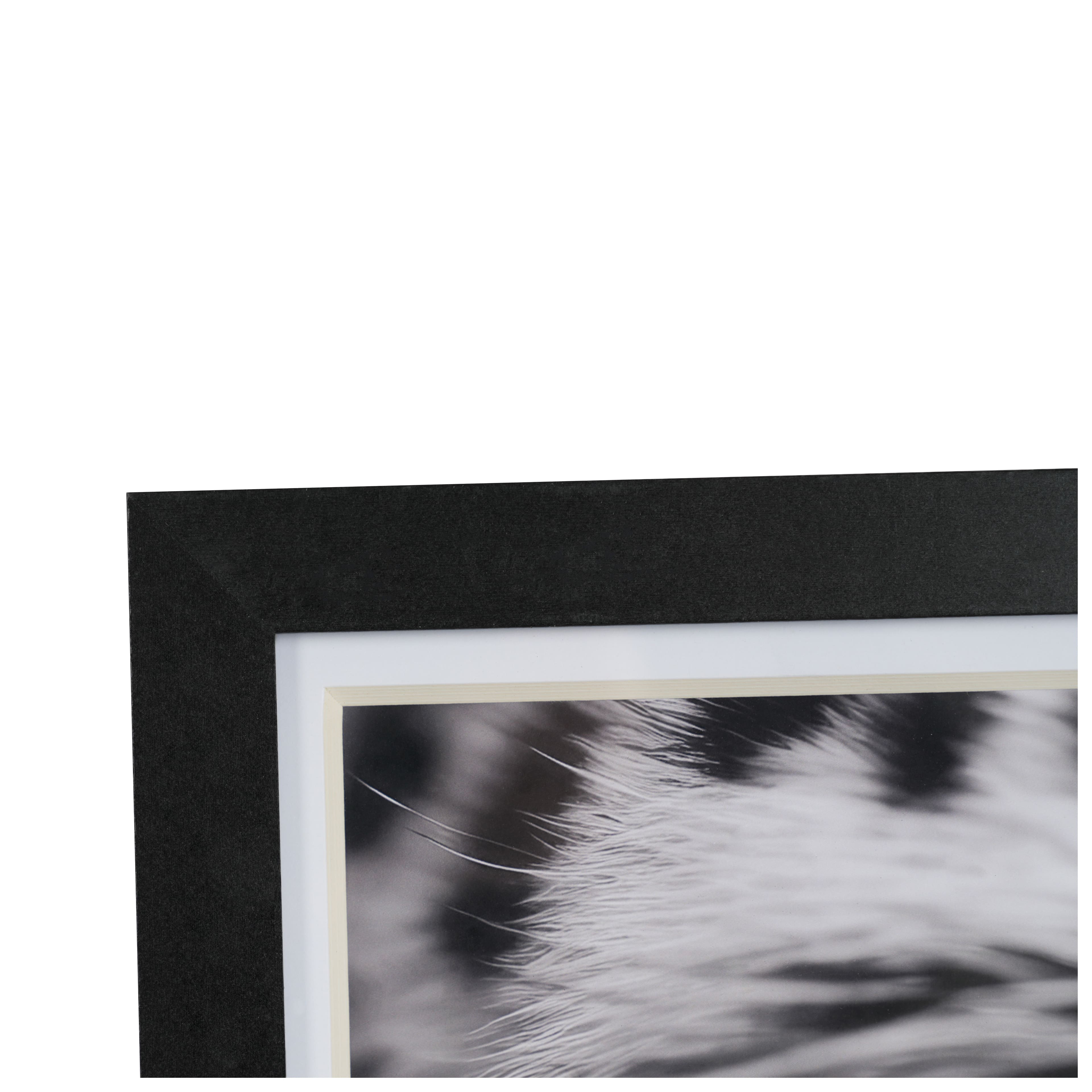 12&#x22; x 16&#x22; Leopard Eye Photo Wall D&#xE9;cor by Ashland&#xAE;