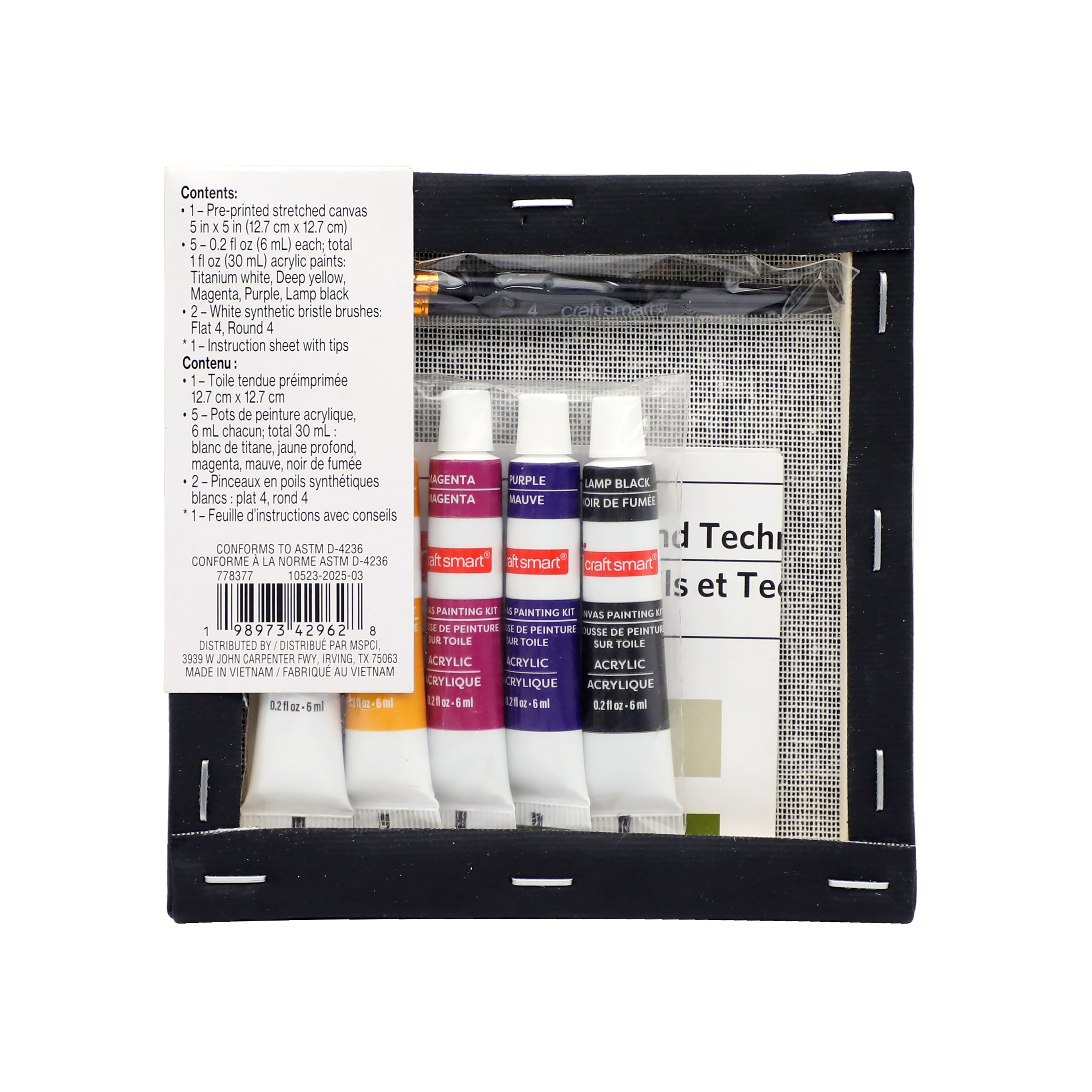 5" x 5" Witch Dog in Web Canvas Painting Kit by Craft Smart®