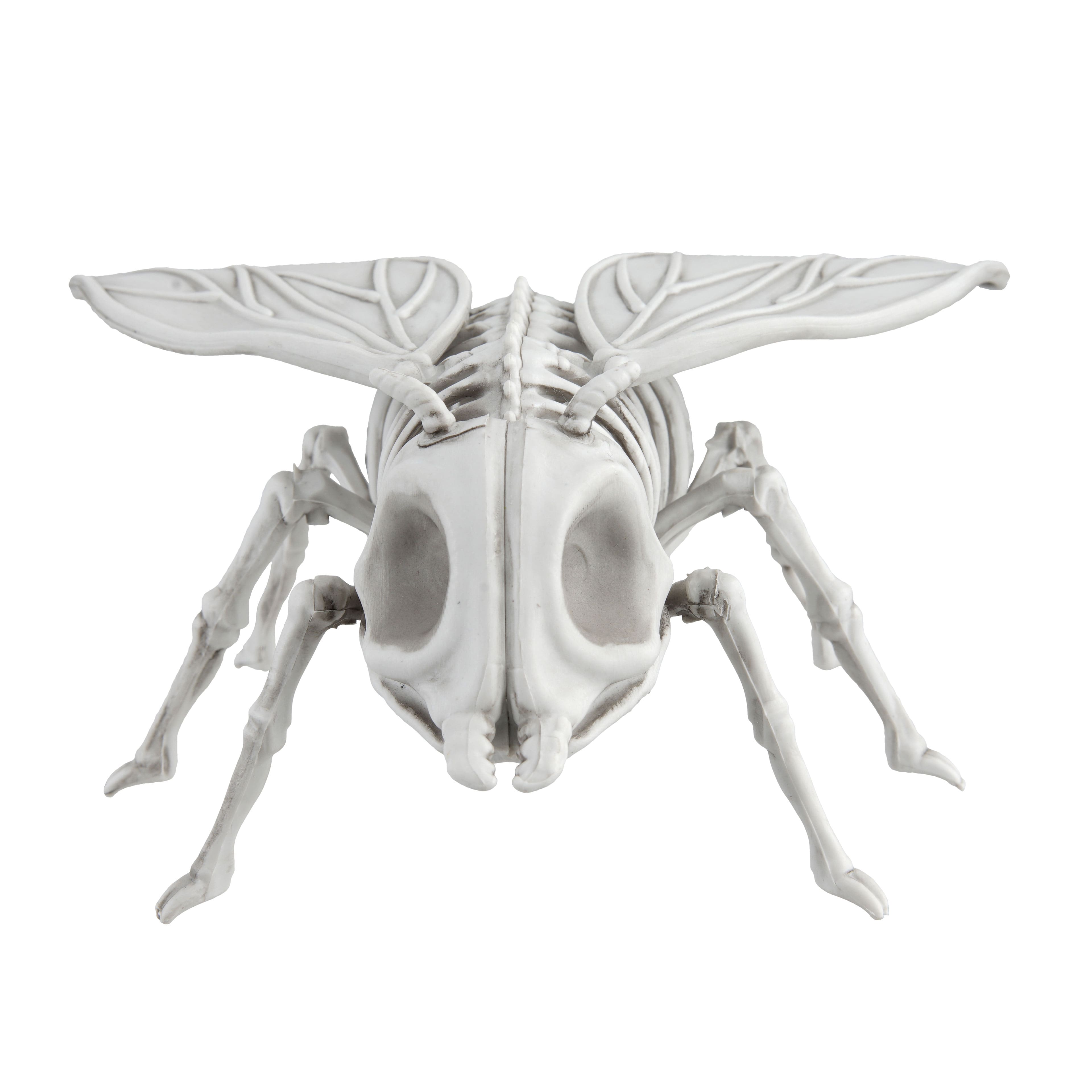 5.25&#x22; Fly Skeleton by Ashland&#xAE;