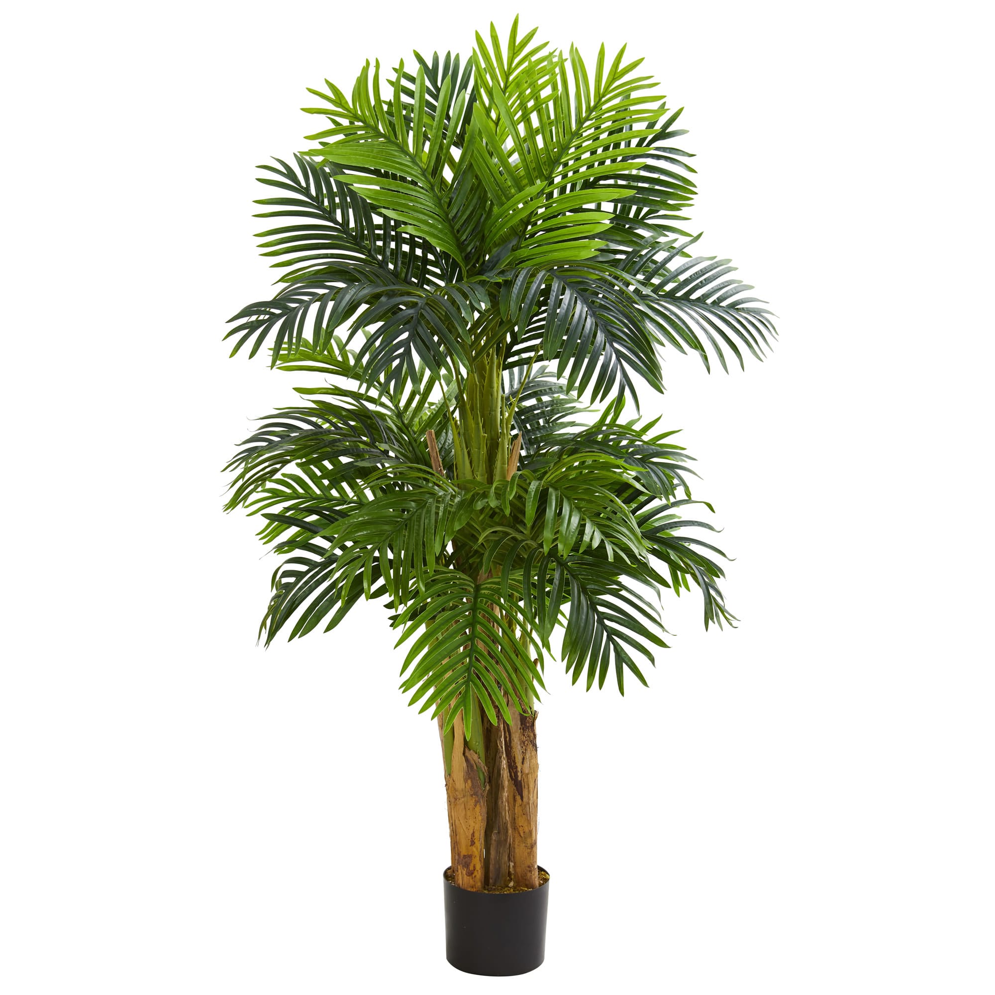 5ft. Potted Triple Areca Palm Tree