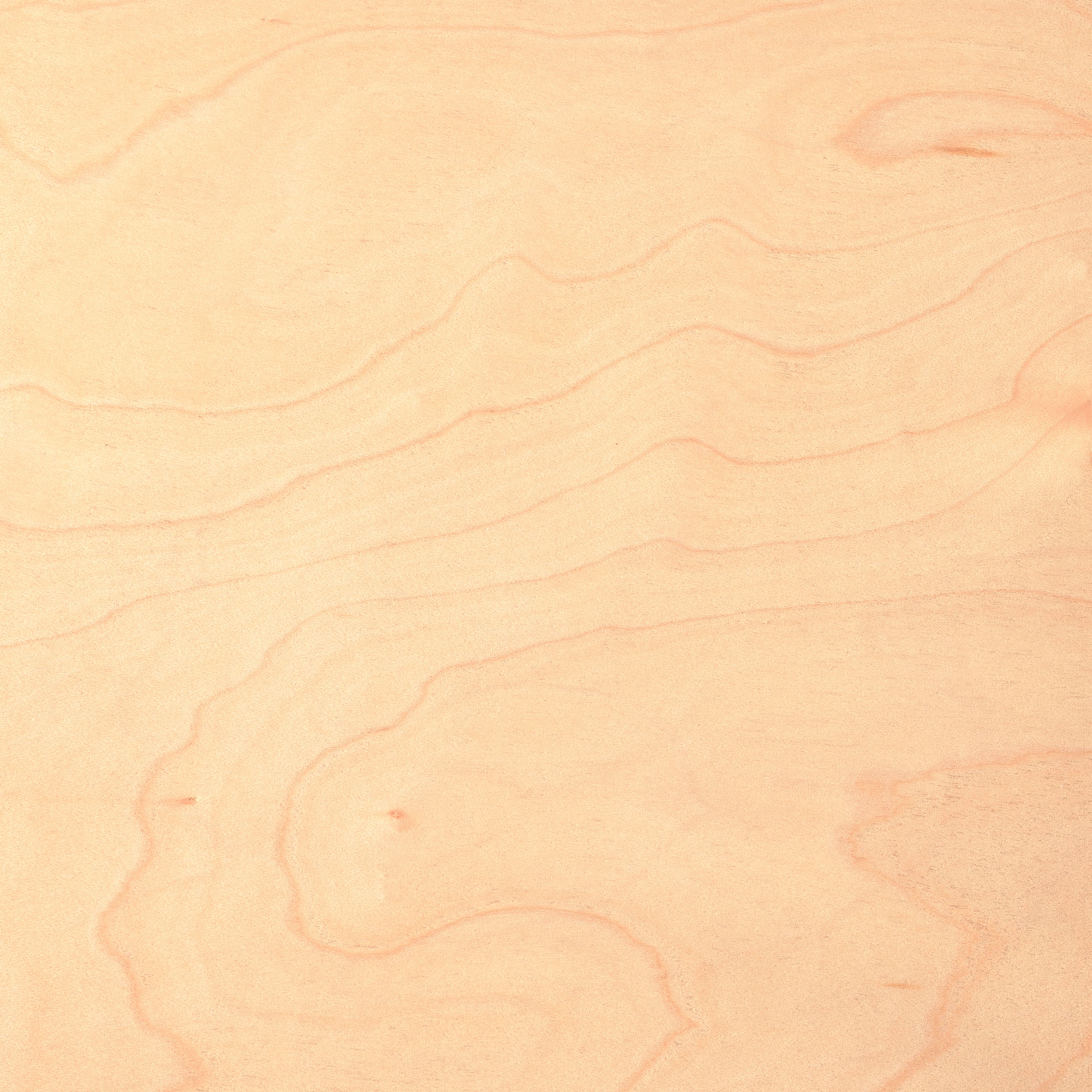 Cricut&#xAE; Natural Wood Maple Veneer