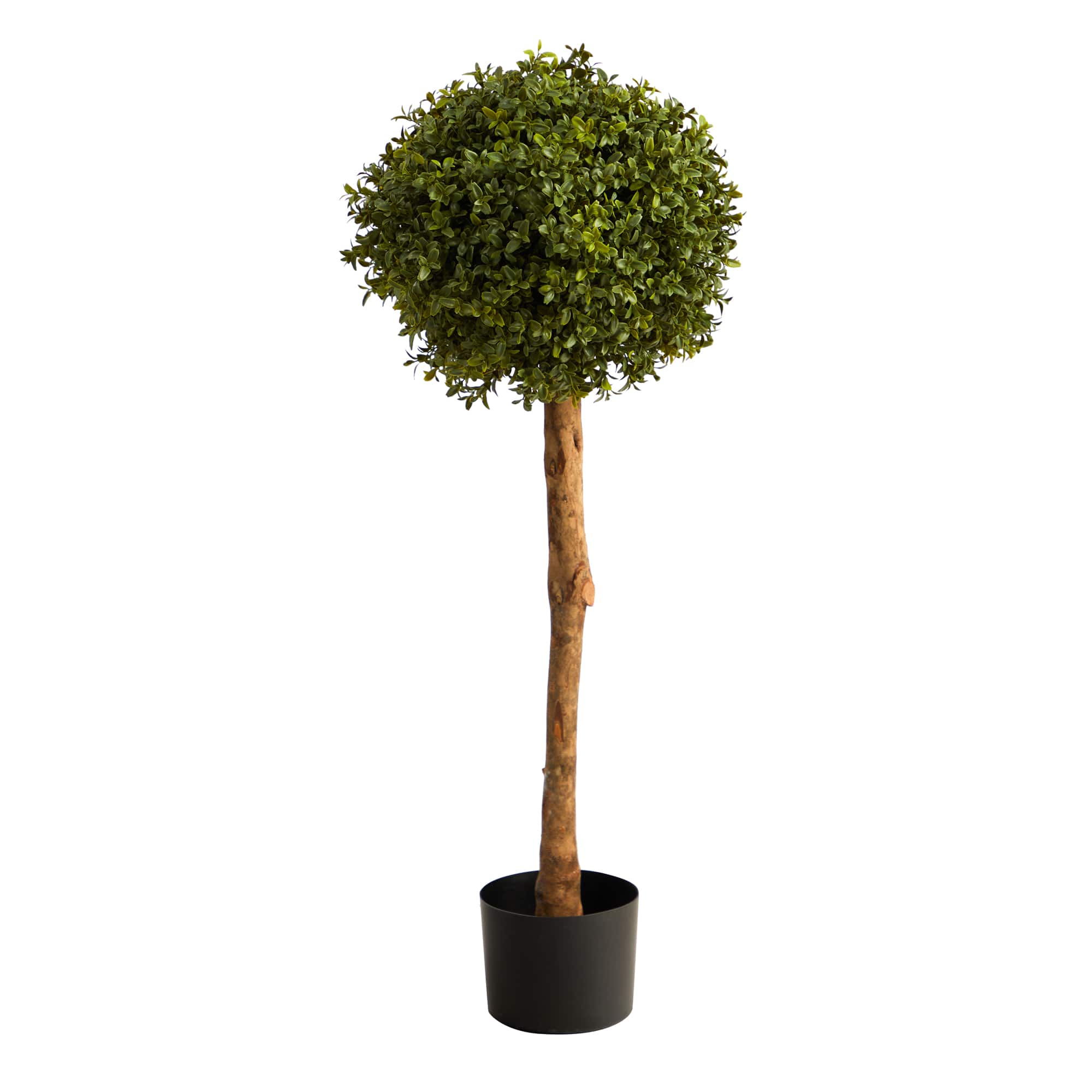 3ft. Potted Boxwood Ball Topiary Tree