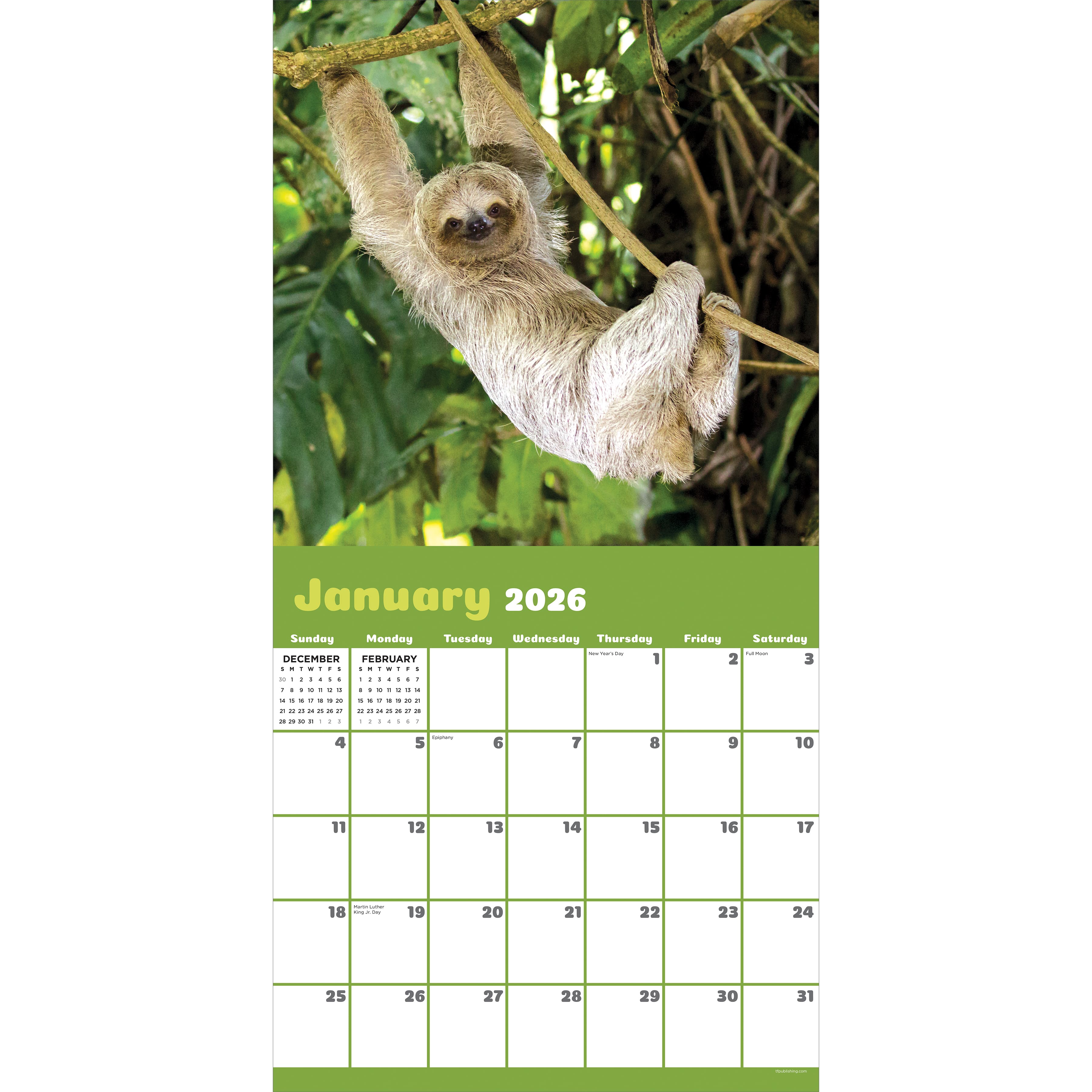2026 Sloths Wall Calendar