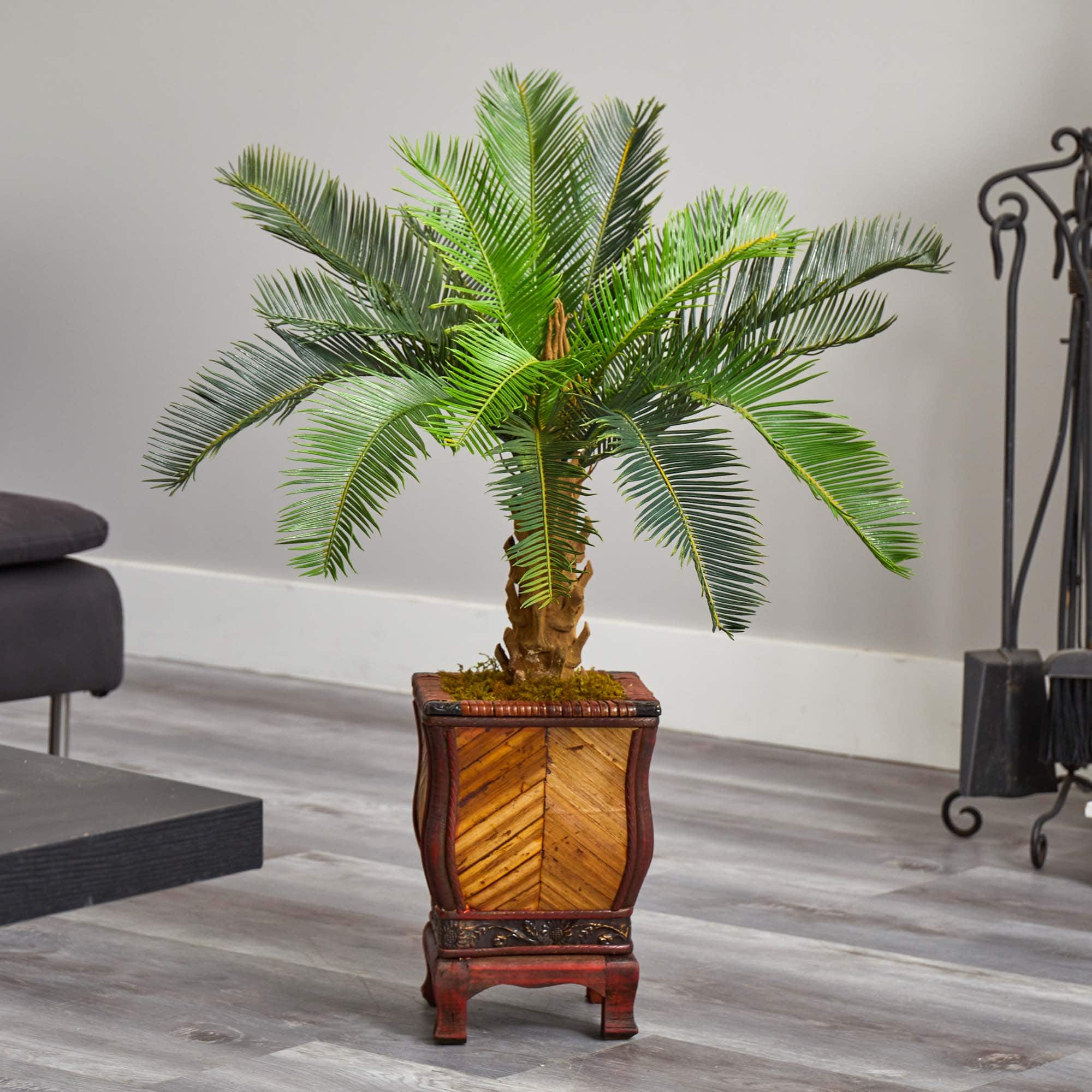 3ft. Cycas Palm Tree in Wood Planter
