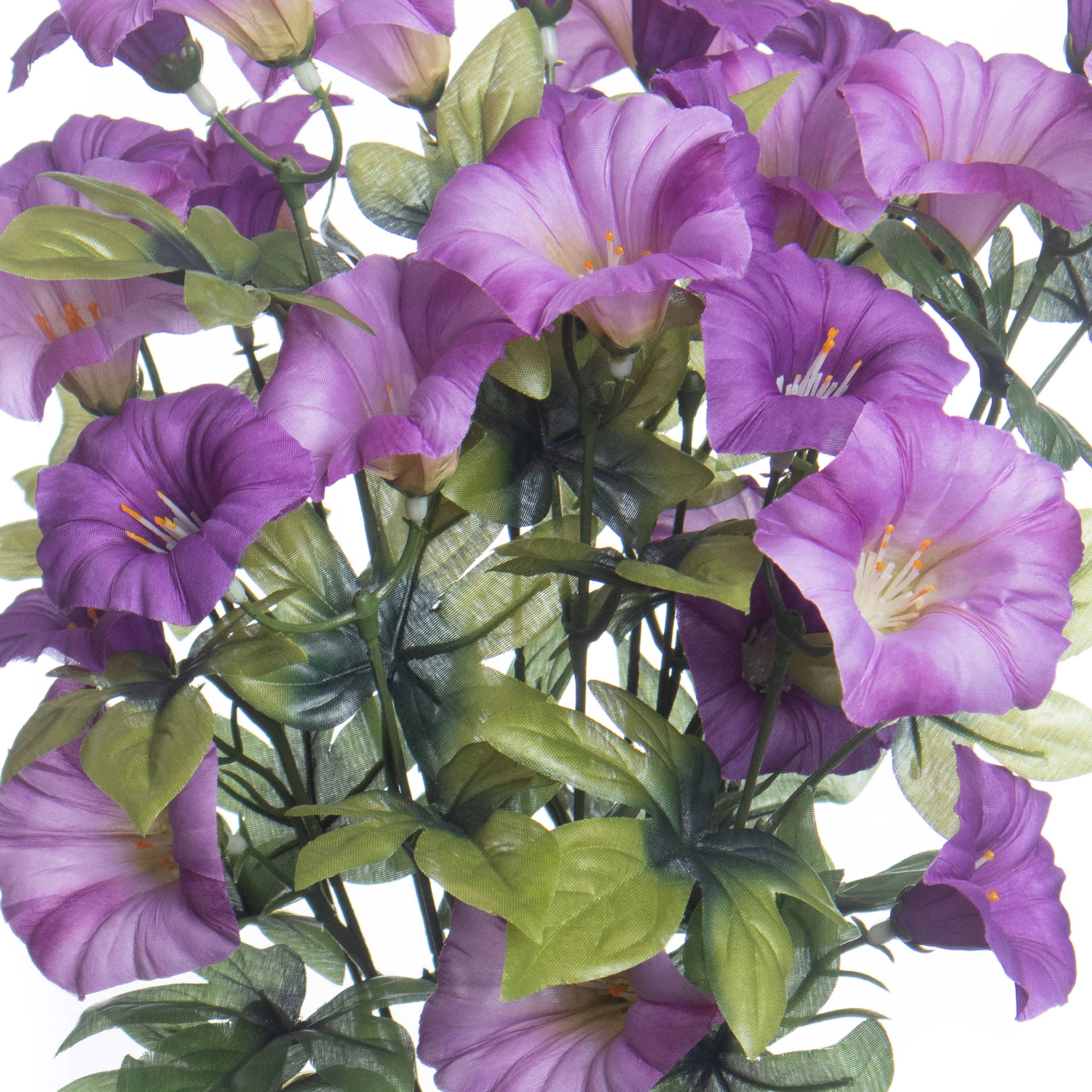 19&#x22; Petunia Bush by Ashland&#xAE;