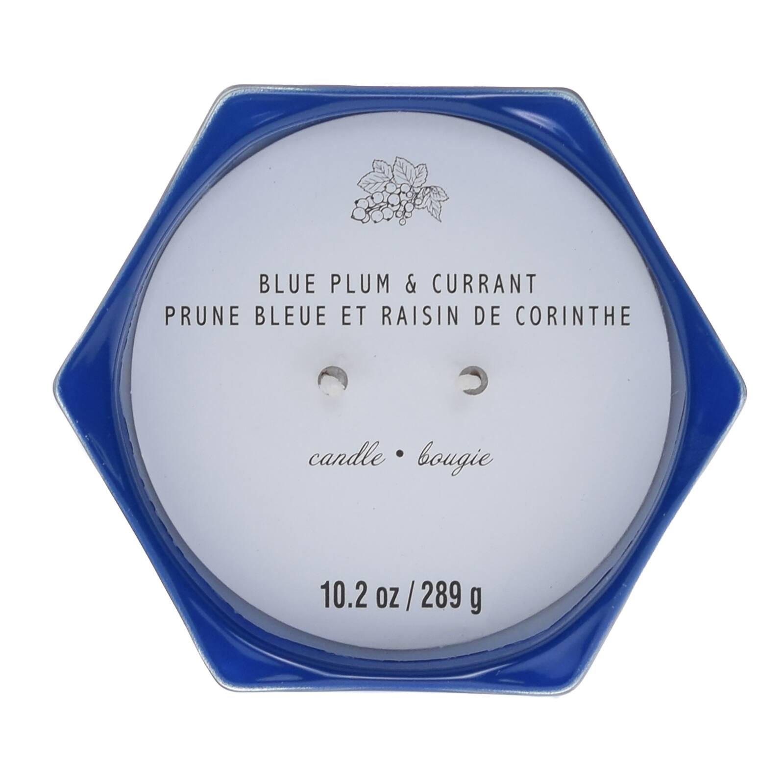 Blue Plum &#x26; Currant 2-Wick Jar Candle by Ashland&#xAE;