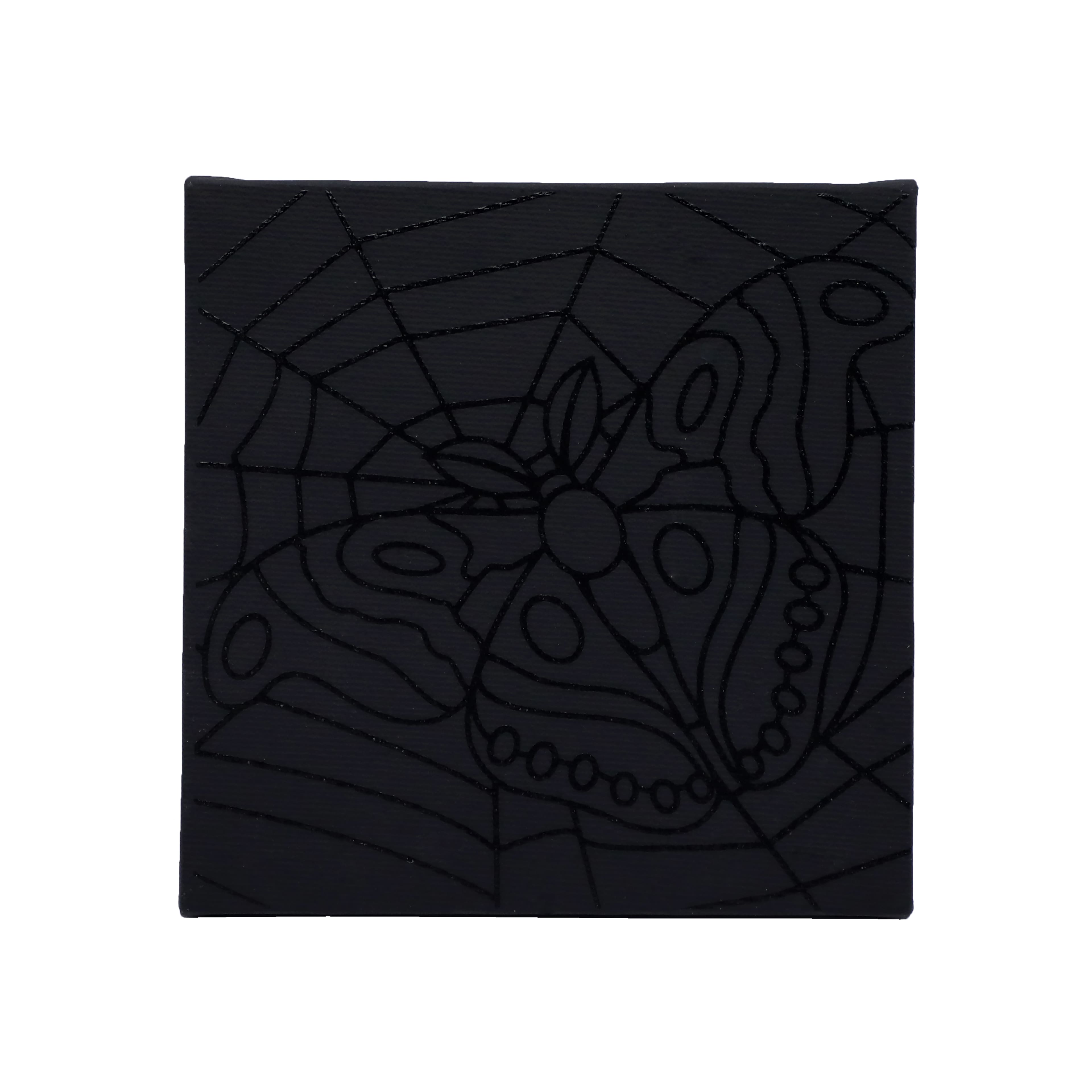 5" x 5" Moth in Web Canvas Painting Kit by Craft Smart®