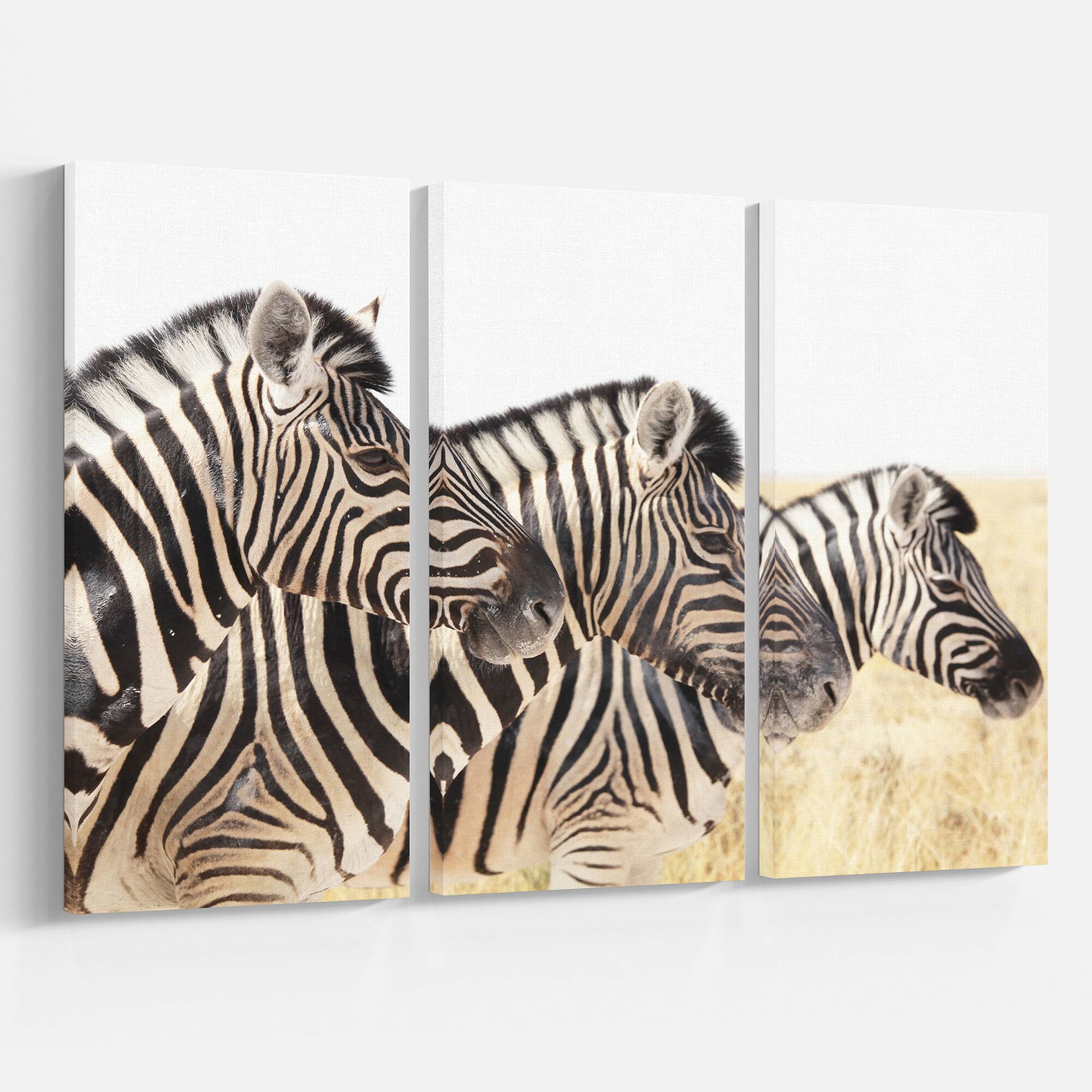 Designart - Zebras in A Row in Grassland