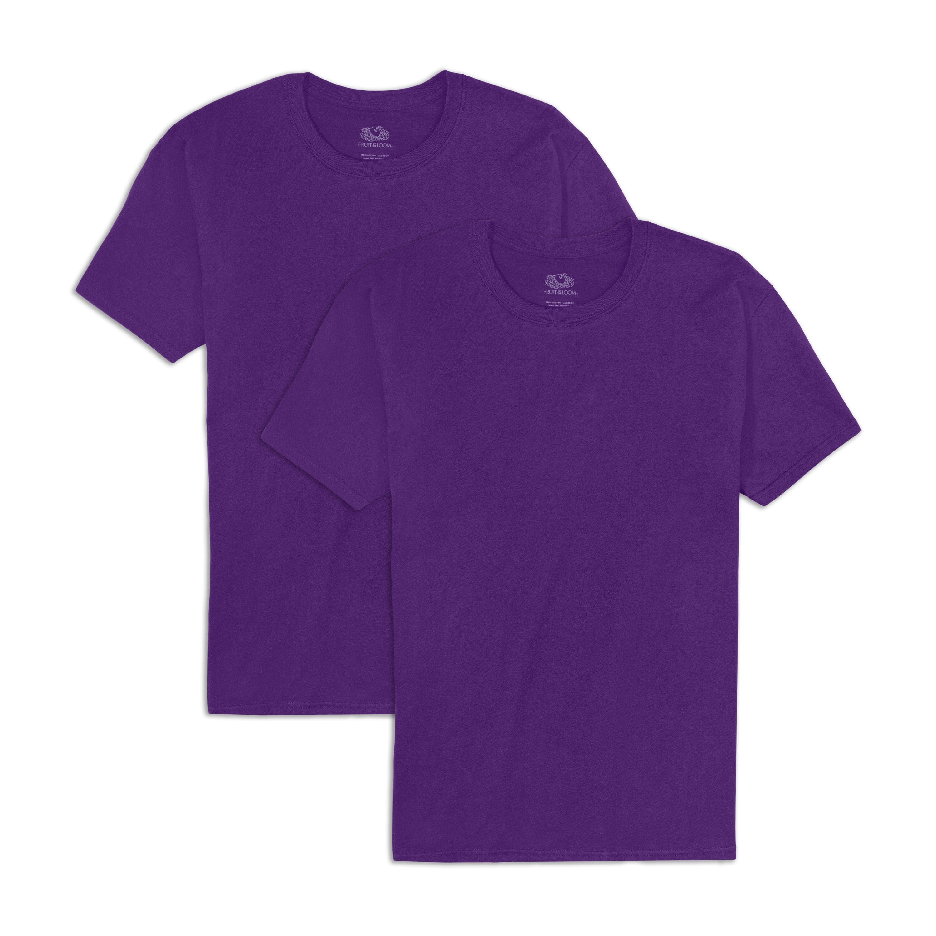 Fruit of the Loom EverSoft Mens Short Sleeve Crew T-Shirt 2 ct in Rocky Mountain Purple | X-Large