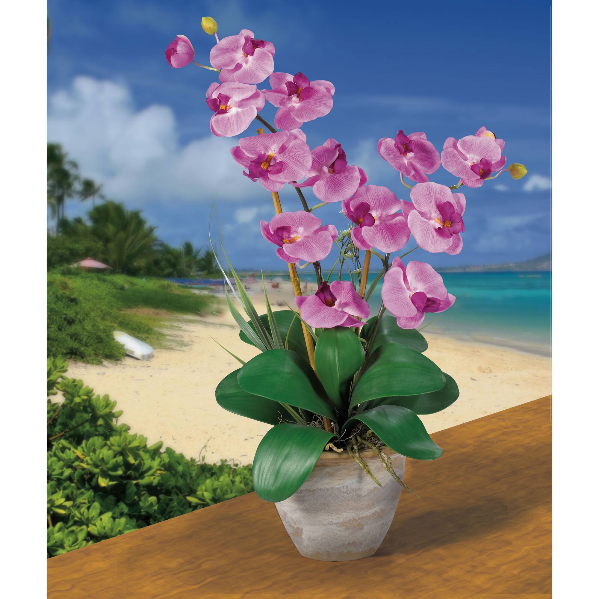 2ft. Double Moth Orchid Silk Flower Arrangement