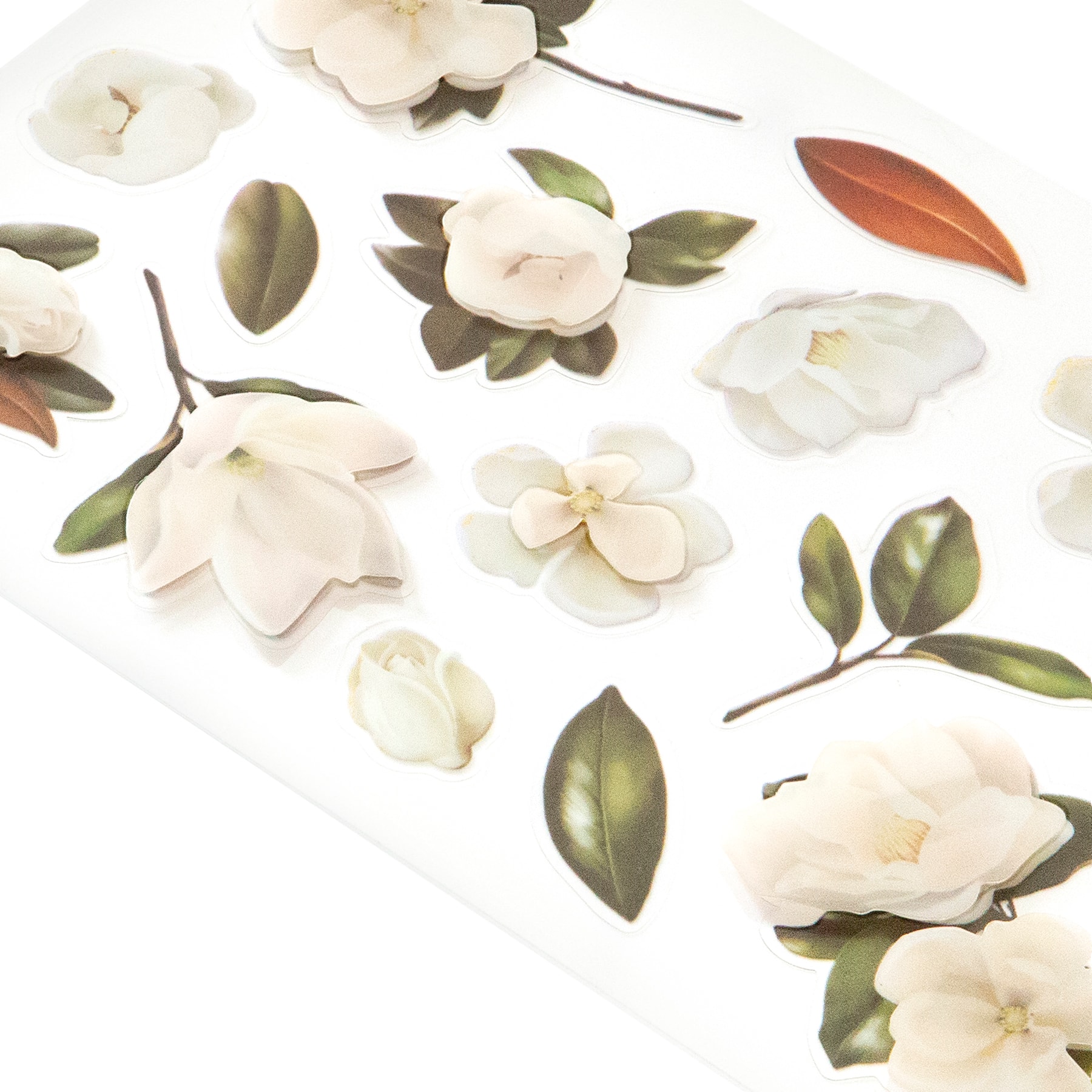 12 Pack: Magnolia Dimensional Stickers by Recollections™
