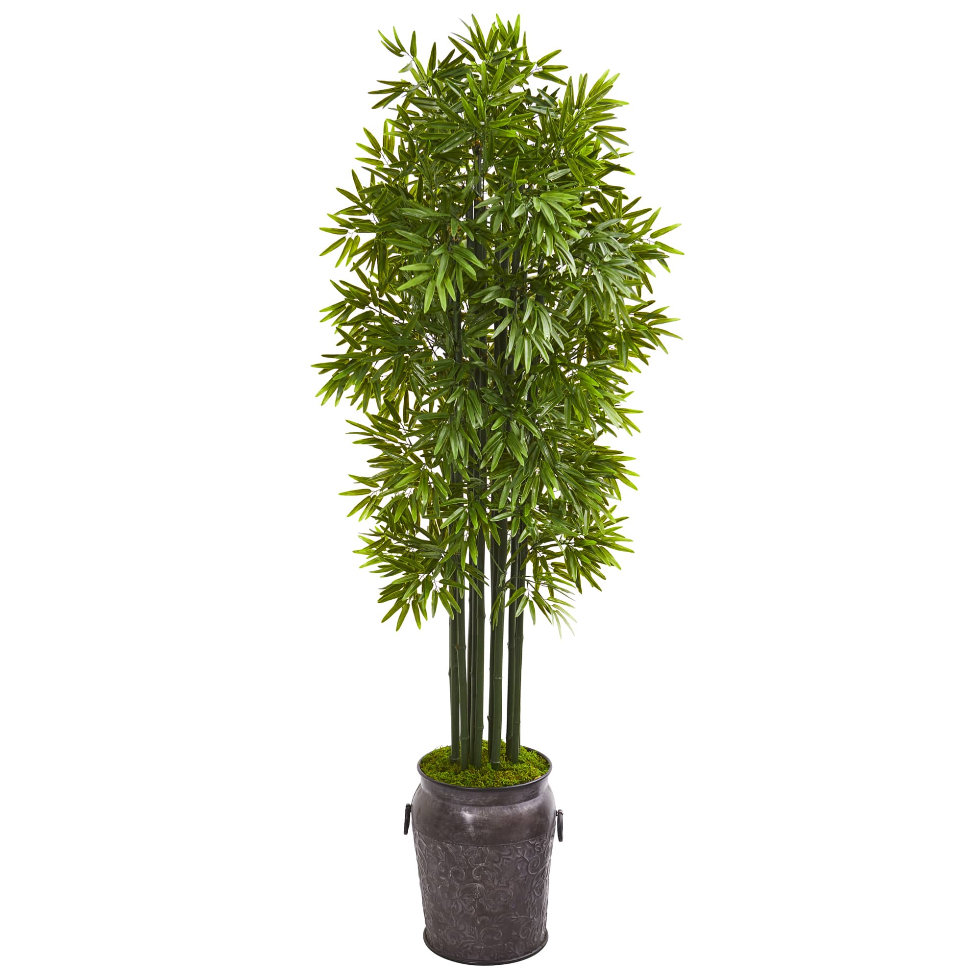 6ft. Bamboo Tree with Black Trunks in Metal Planter