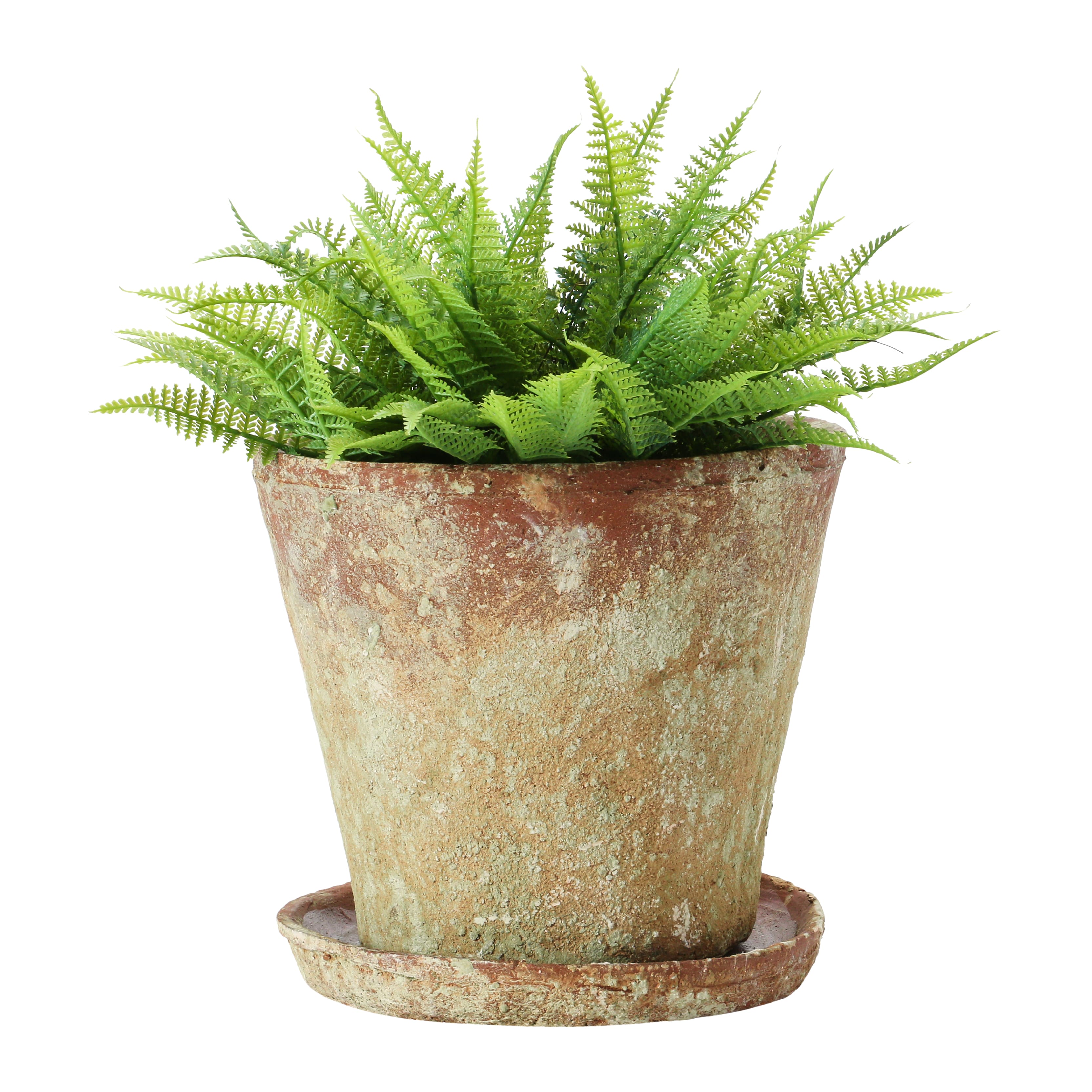 Hello Honey® Distressed Terracotta Cement Planter with Saucer Set