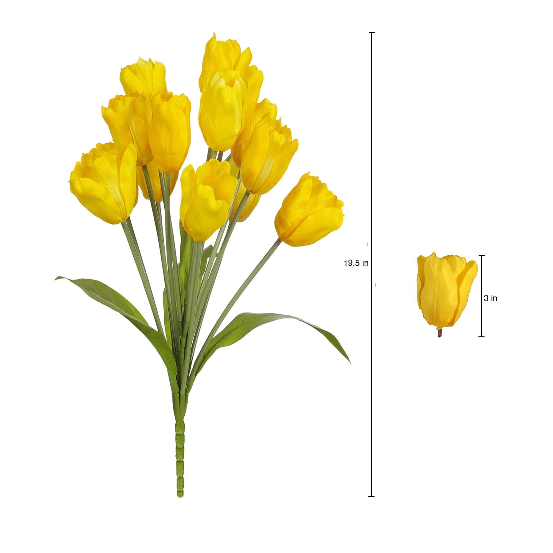 Yellow Tulip Bush by Ashland&#xAE;