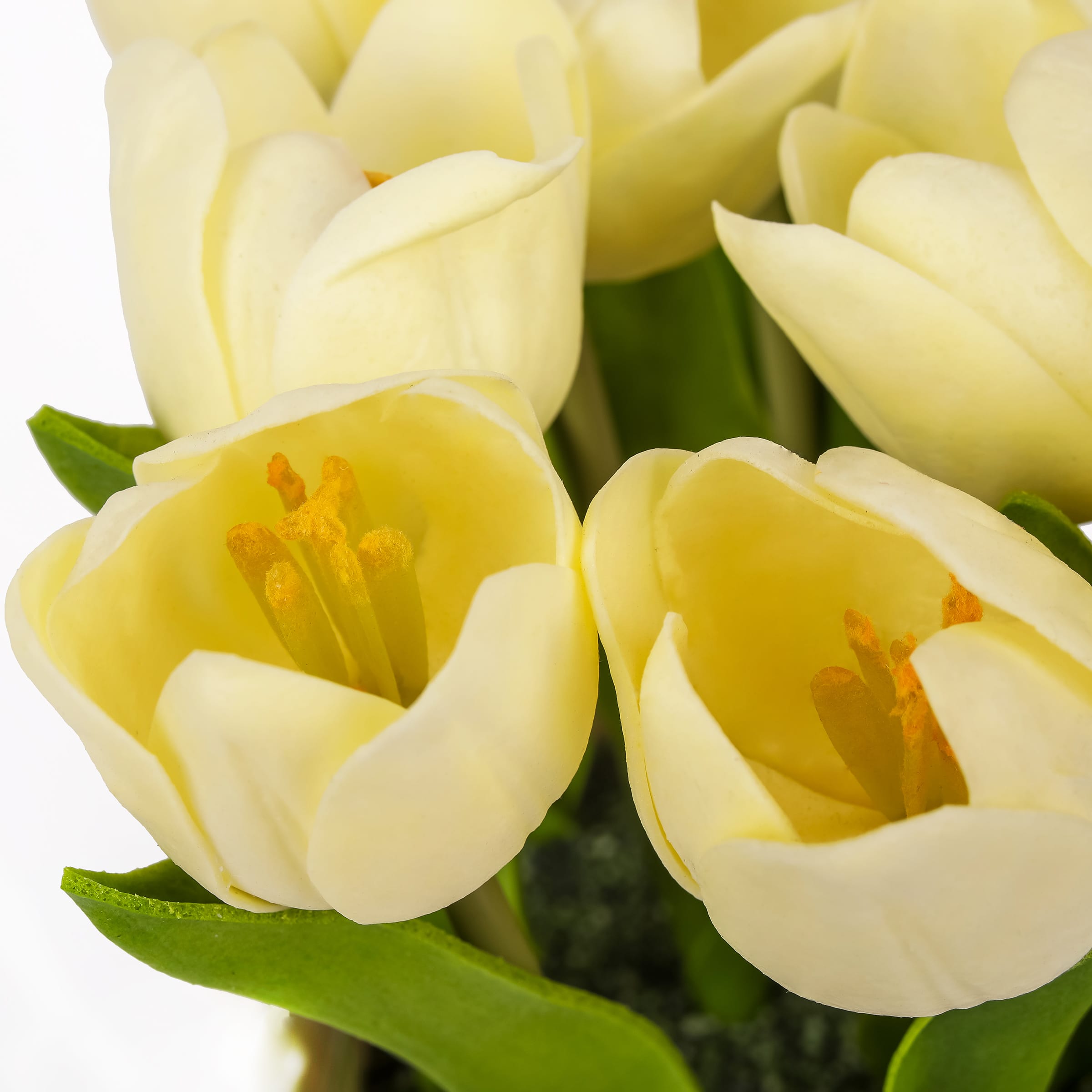 10" Tulip Bouquet in White Basket