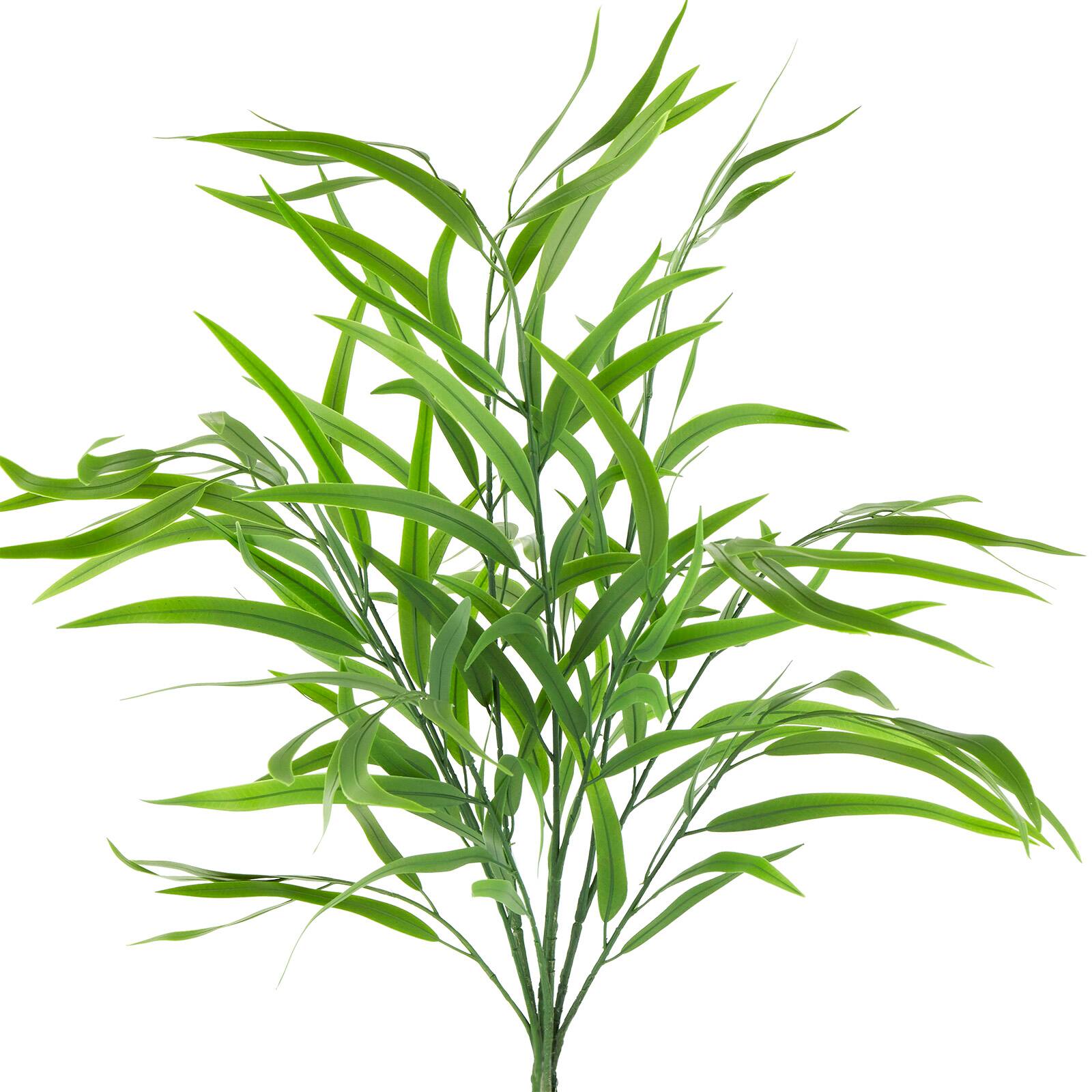 Long Willow Eucalyptus Bush by Ashland&#xAE;