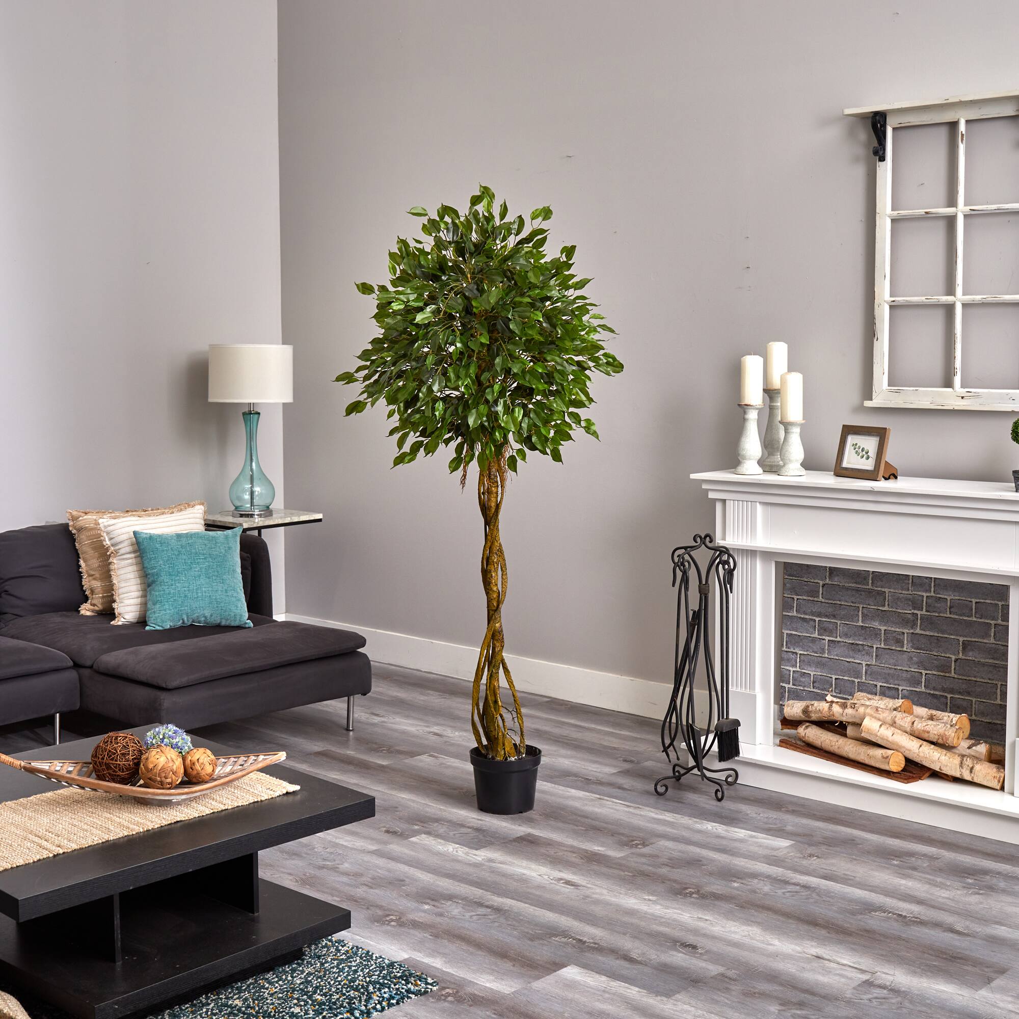 4ft. Potted Woven Trunk Ficus Tree