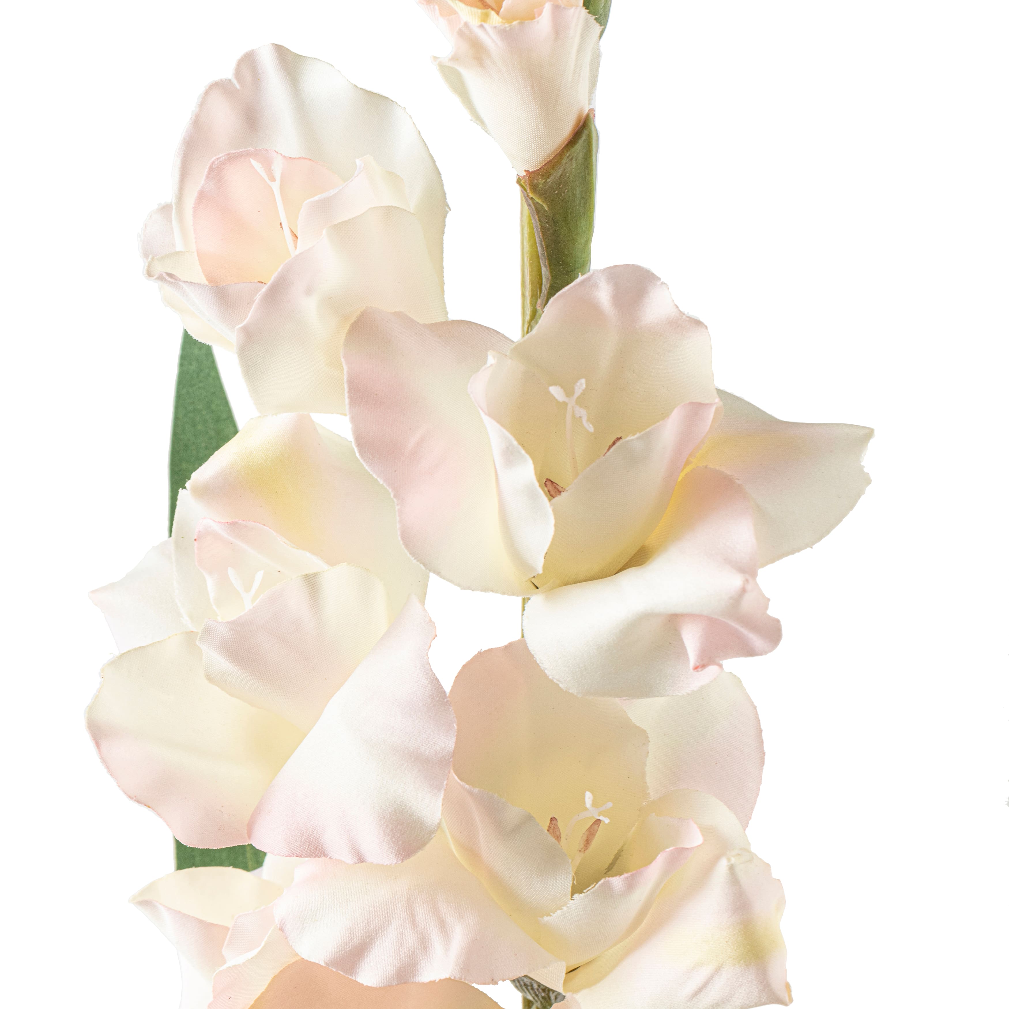 12 Pack: White Gladiolus Stem by Ashland&#xAE;