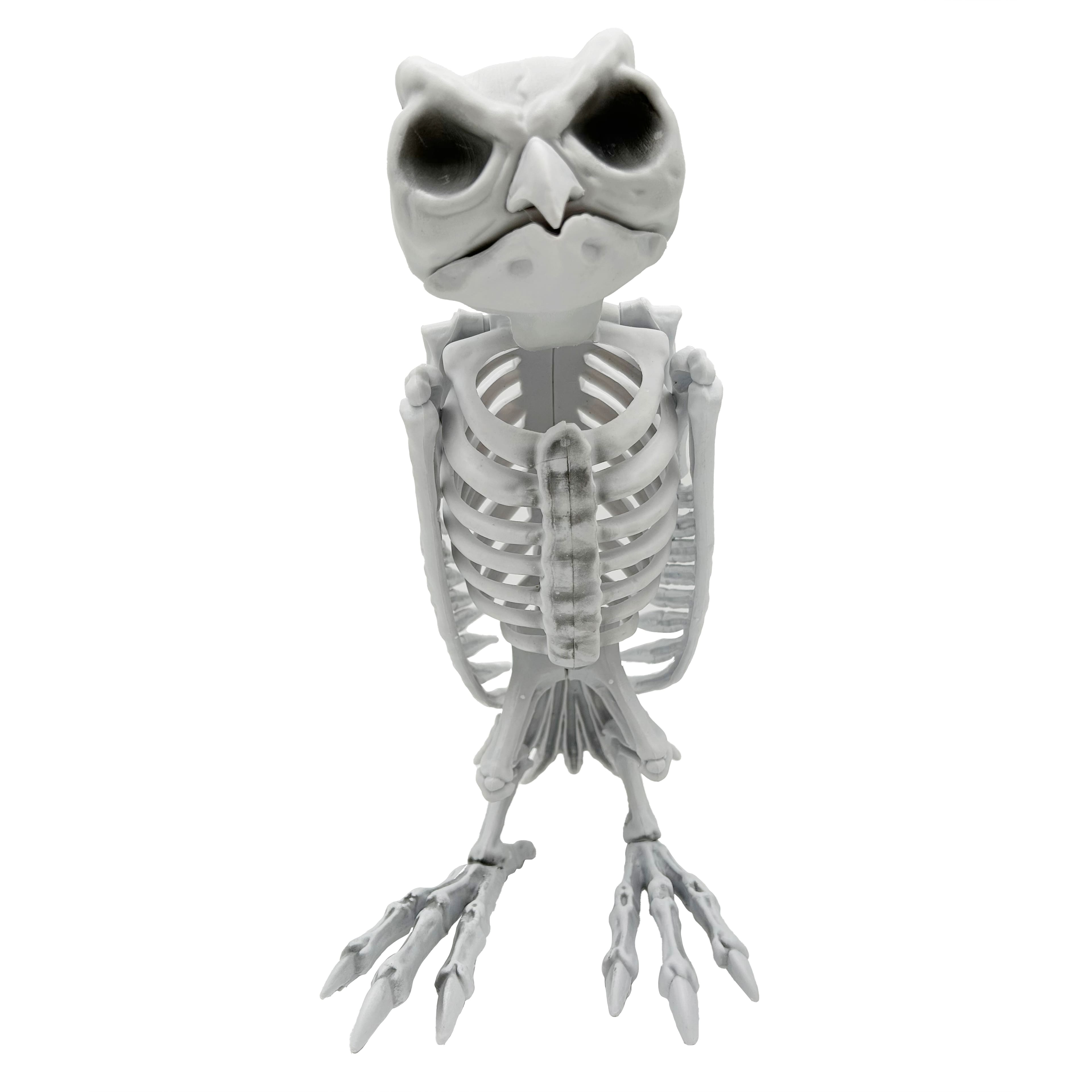 Halloween 12&#x22; Owl Skeleton by Ashland&#xAE;