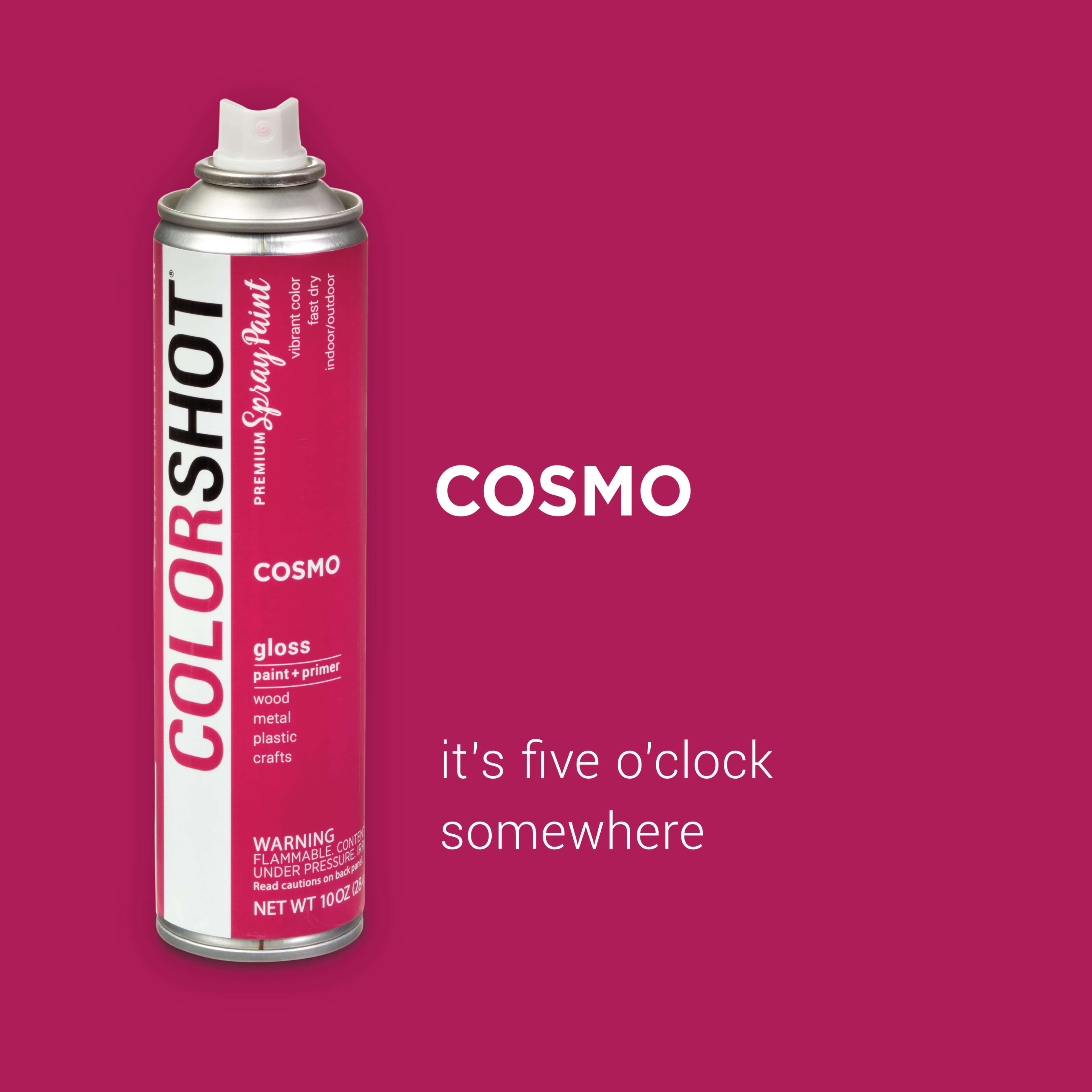 COLORSHOT&#xAE; Premium Gloss Spray Paint