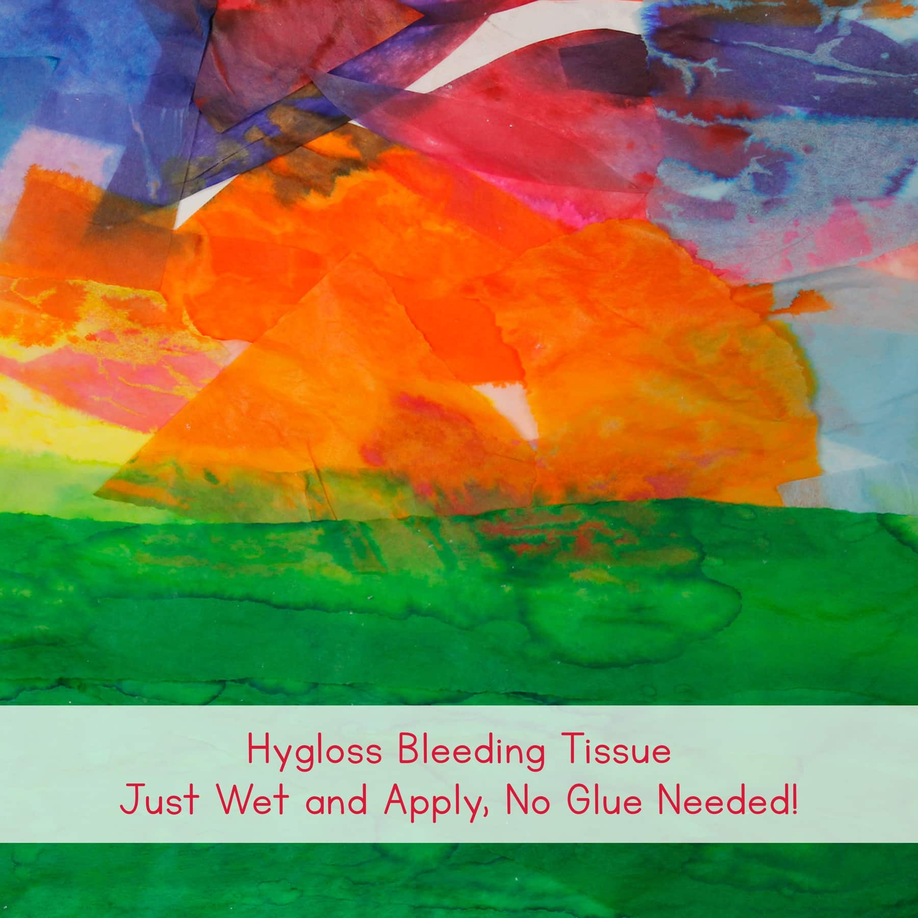 Hygloss 12&#x22; x 18&#x22; Bleeding Tissue Assortment